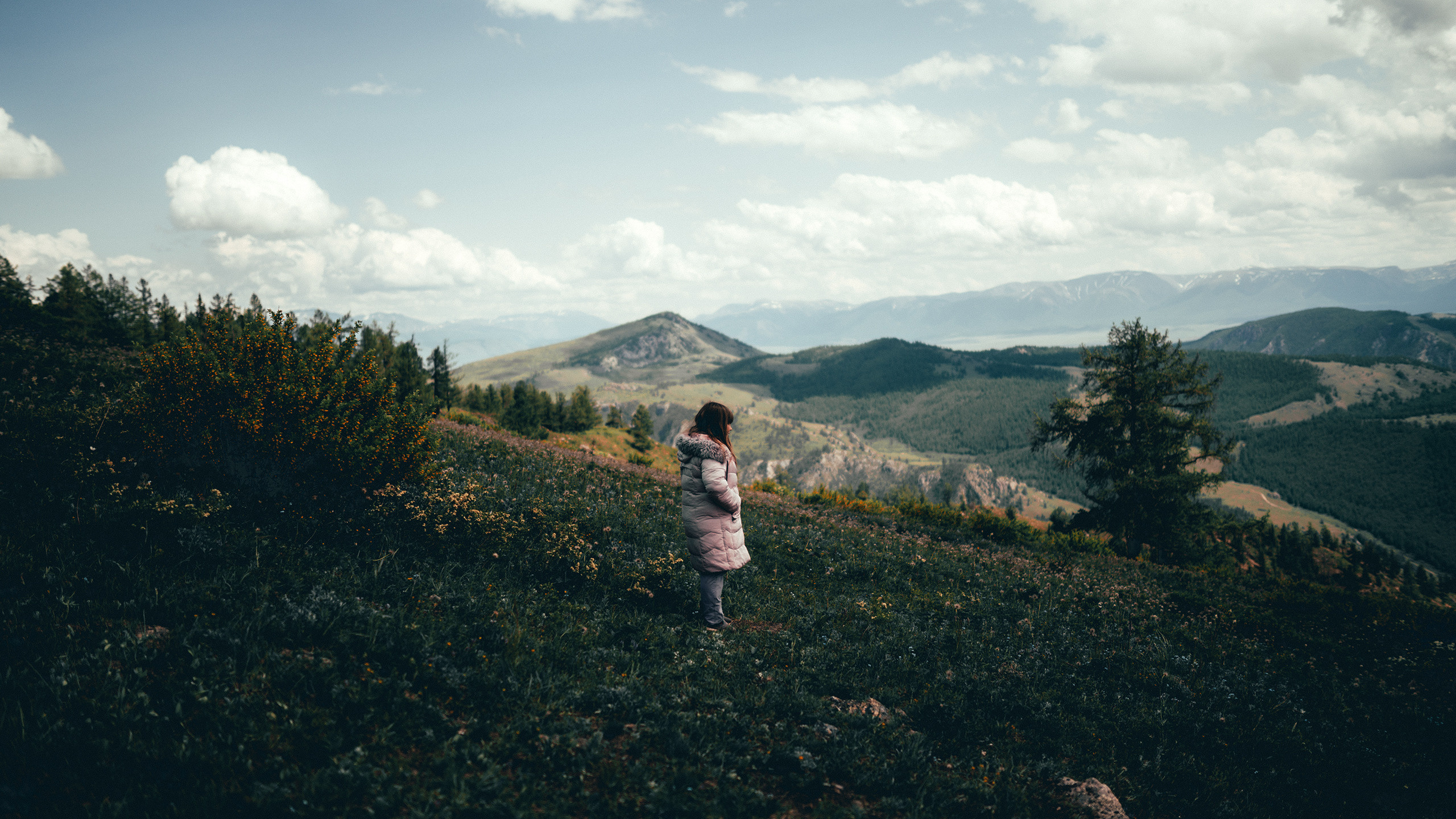 Алтай, июнь 2023. Фотограф Владимир Орлов