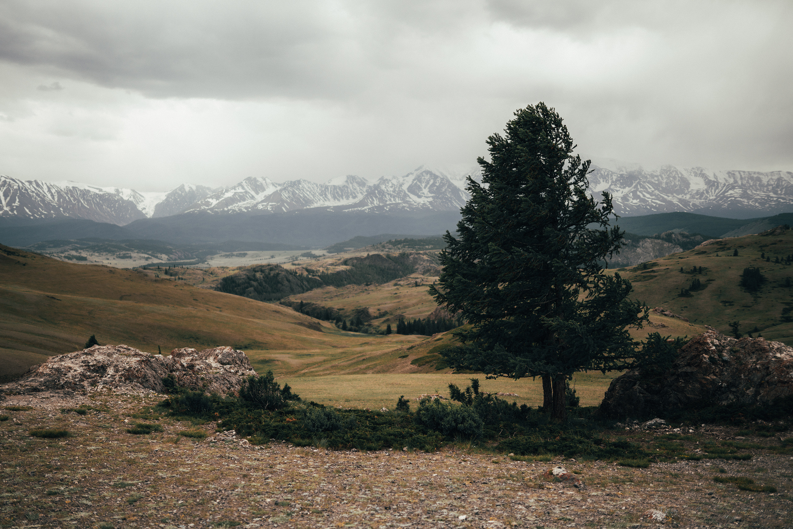 Алтай, июнь 2023. Фотограф Владимир Орлов