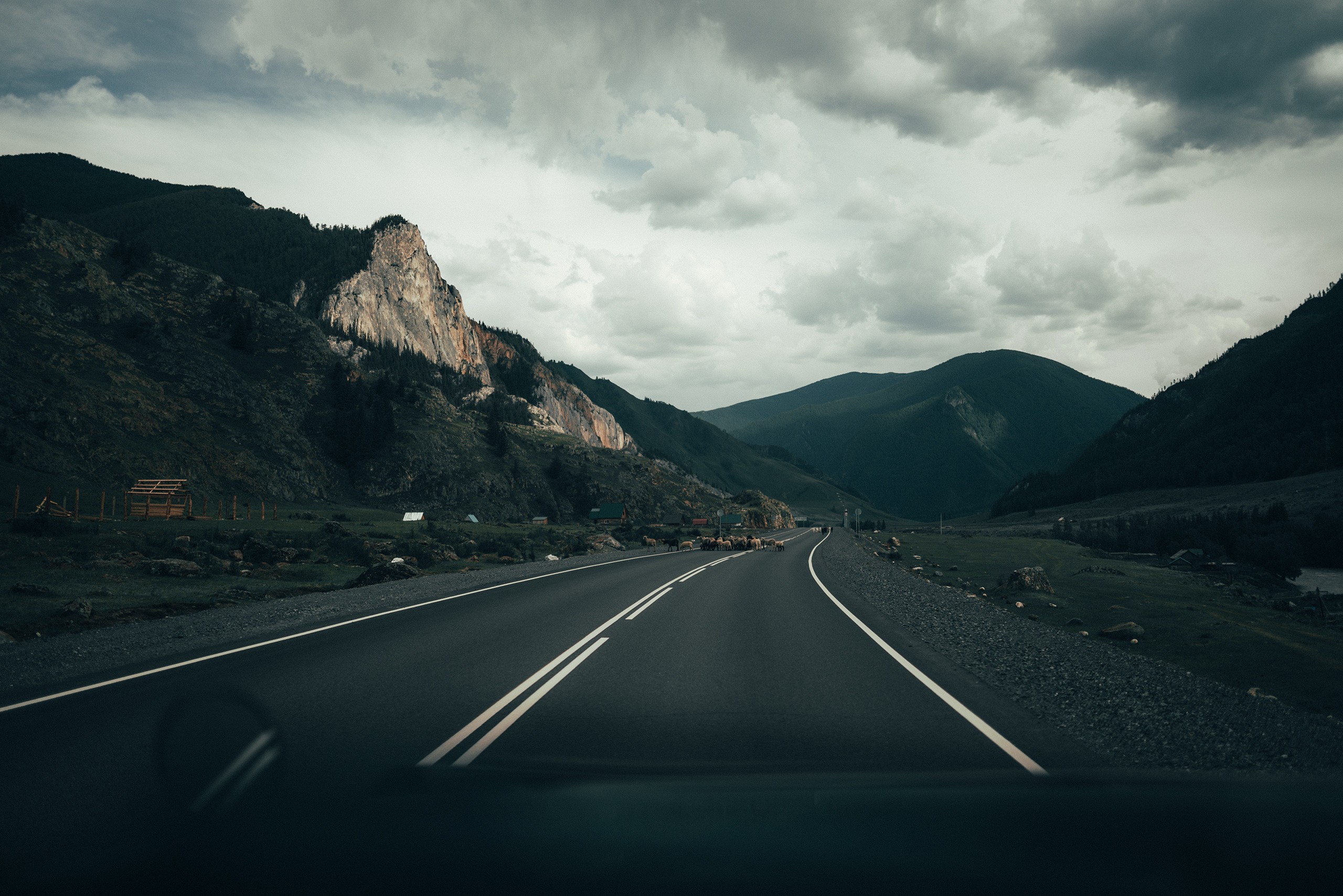 Алтай, июнь 2023. Фотограф Владимир Орлов