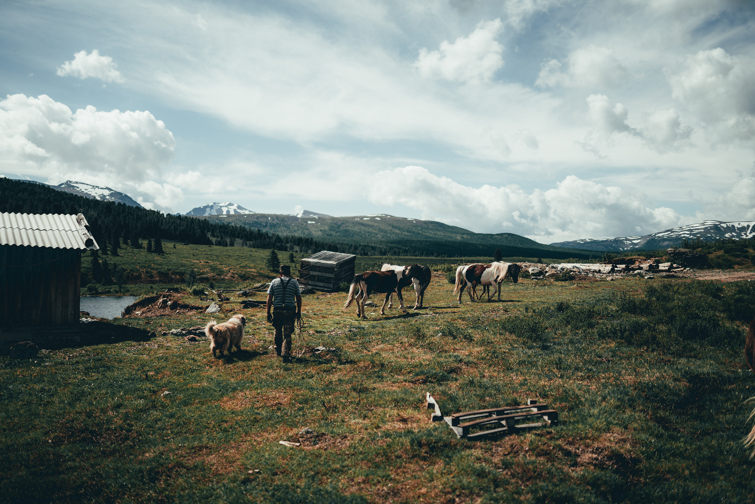 Алтай, июнь 2023. Фотограф Владимир Орлов