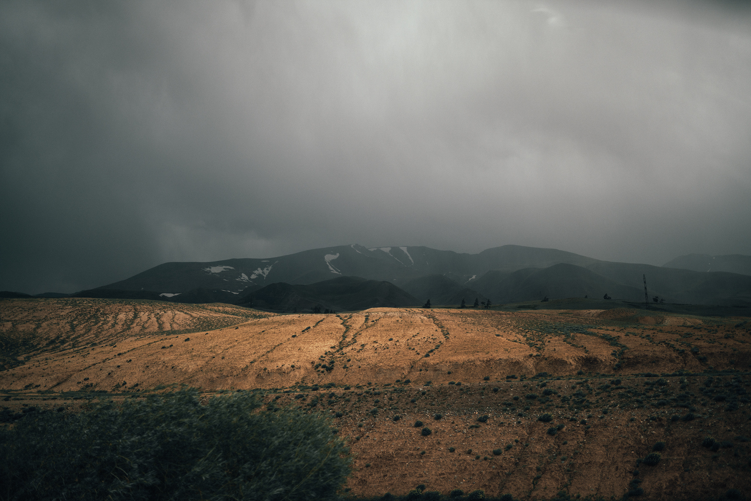 Алтай, июнь 2023. Фотограф Владимир Орлов