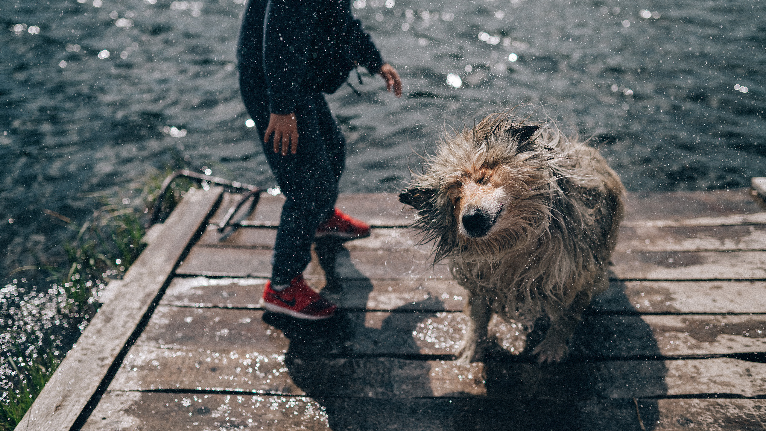 Алтай, июнь 2023. Фотограф Владимир Орлов