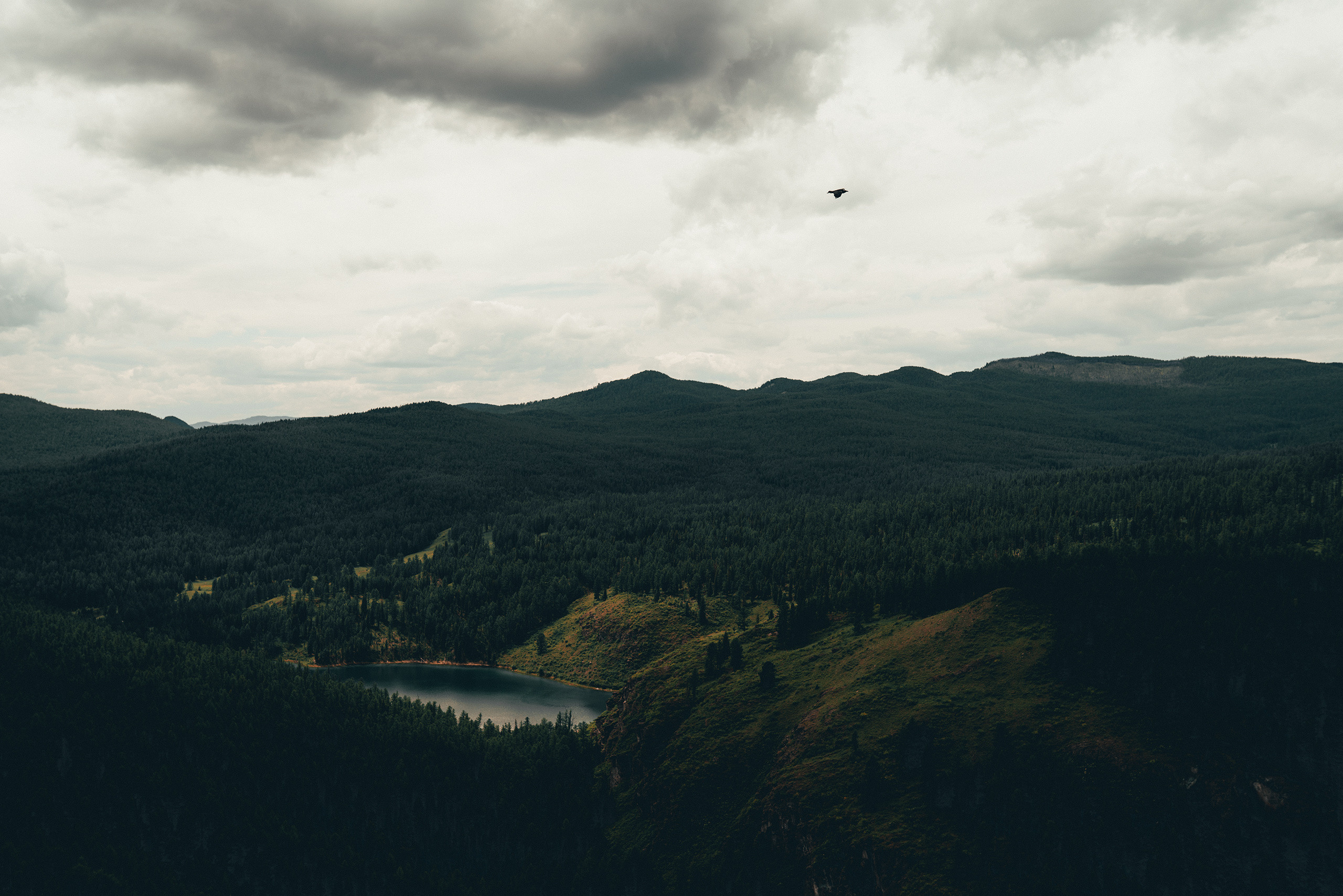 Алтай, июнь 2023. Фотограф Владимир Орлов