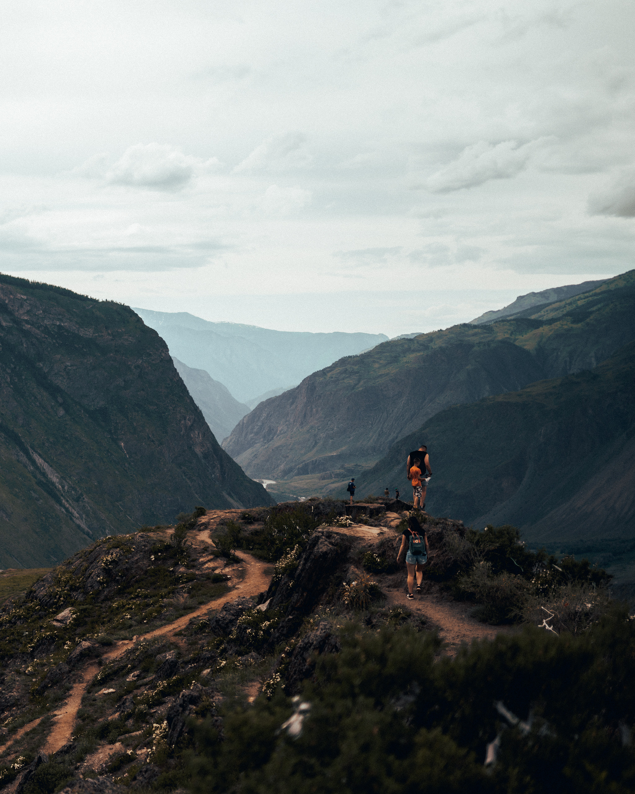 Алтай, июнь 2023. Фотограф Владимир Орлов