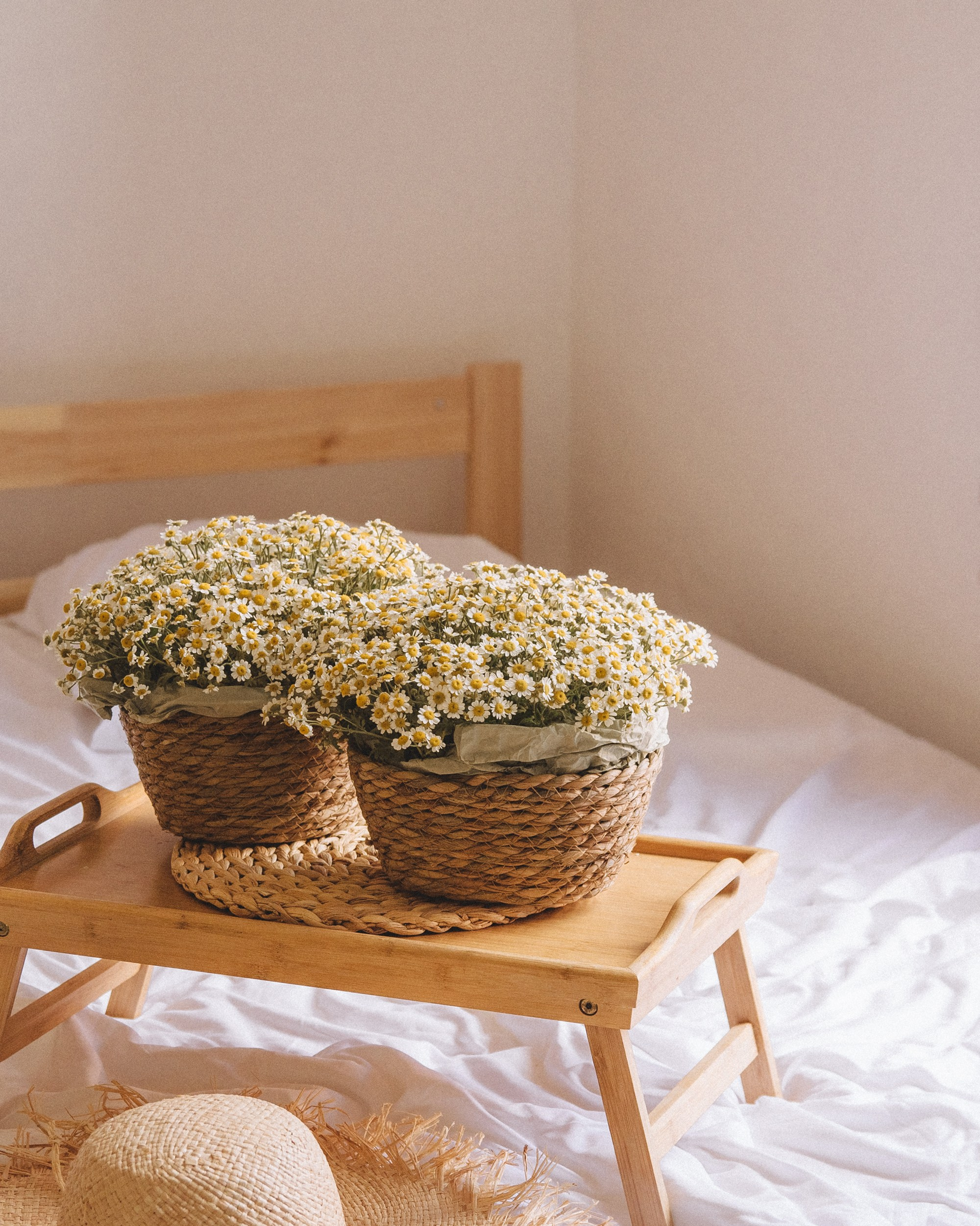 Семья Станислава и Елены. Фотограф Новочеркасск Ольга Мальцева