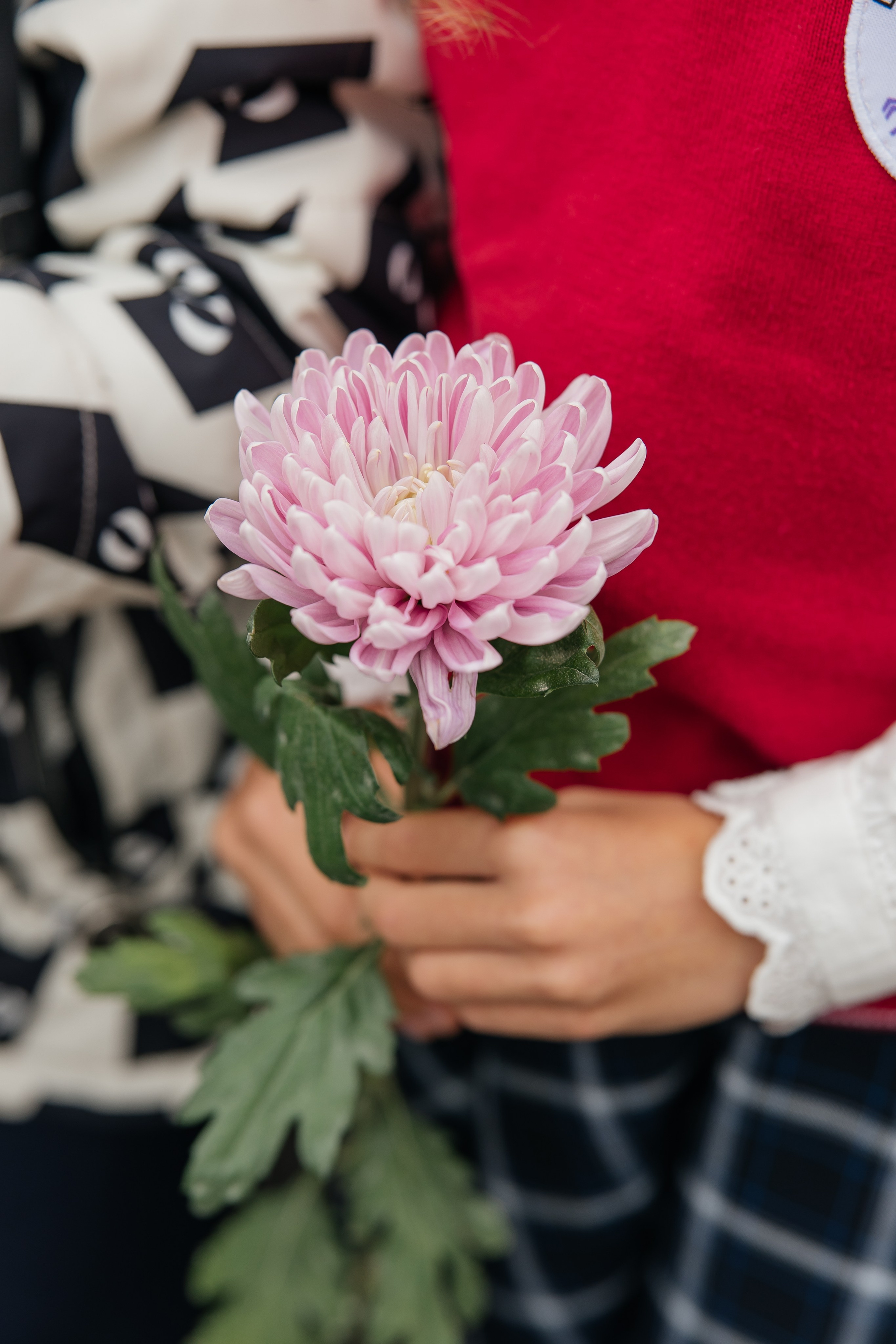Первый звонок. Школьный фотограф в Новосибирске Наталья Иванченко