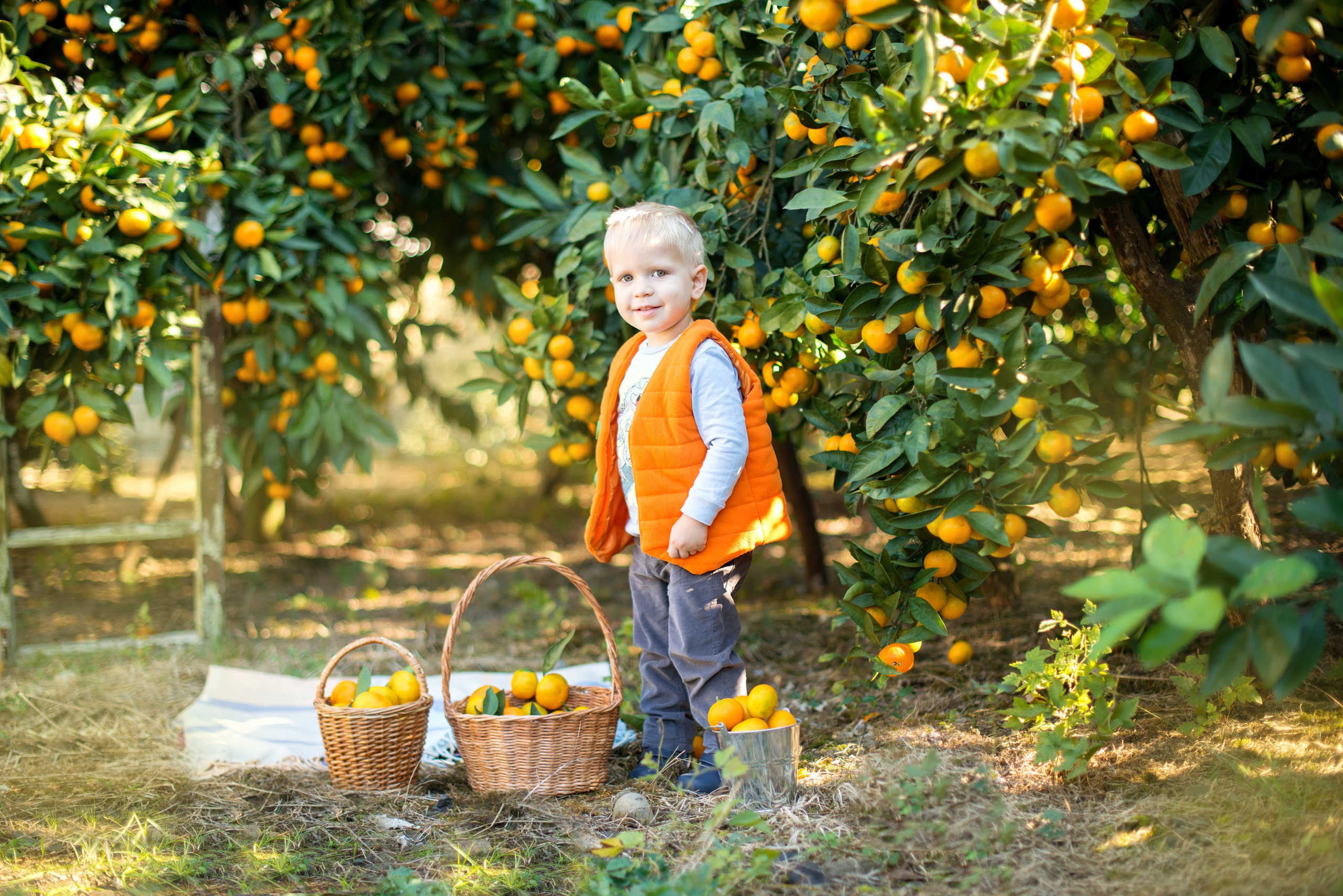 Мандарины. Детский и семейный фотограф в Абхазии