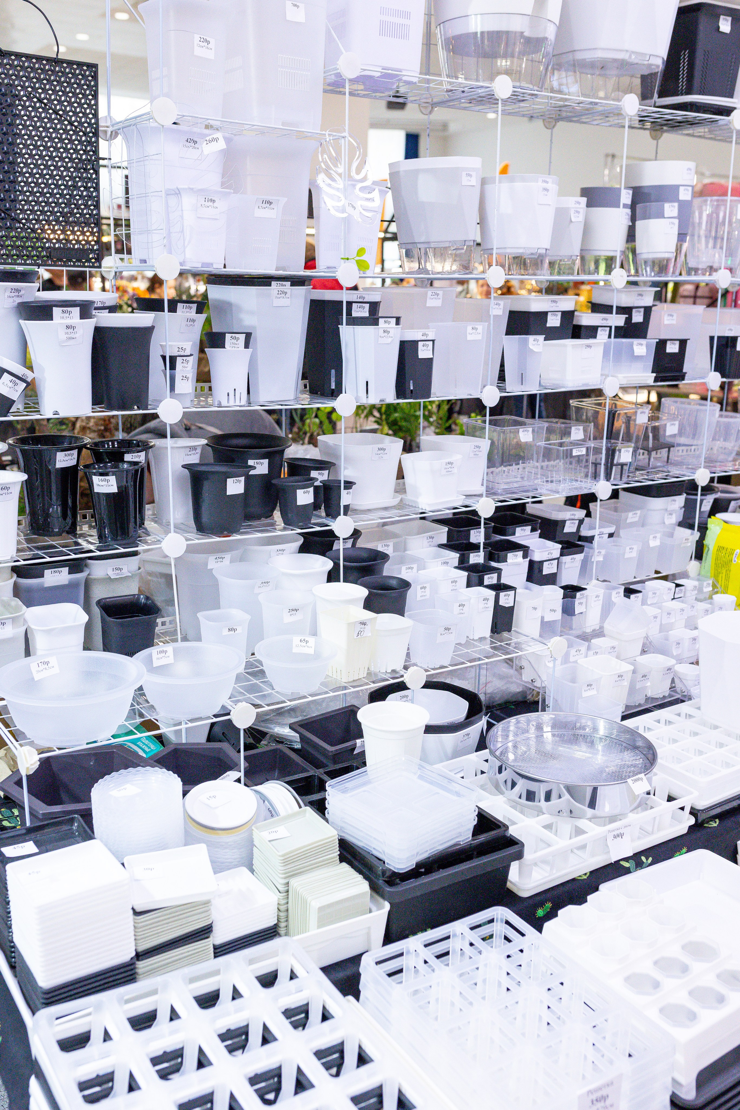 Монстериум 11–12 октября. Александра Куликова фотограф, Москва