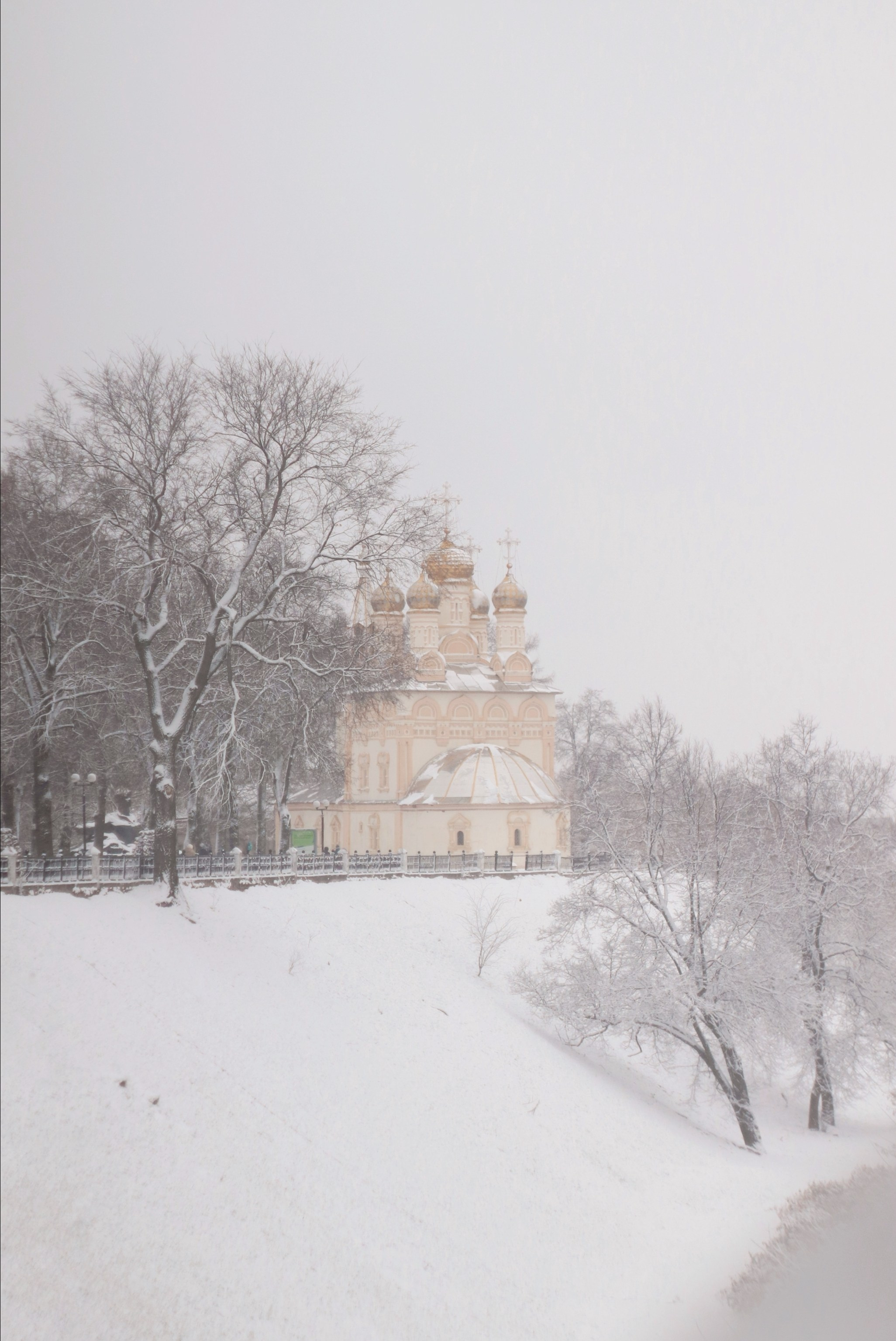 Ноябрьский снег. С любовью, фотохудожник