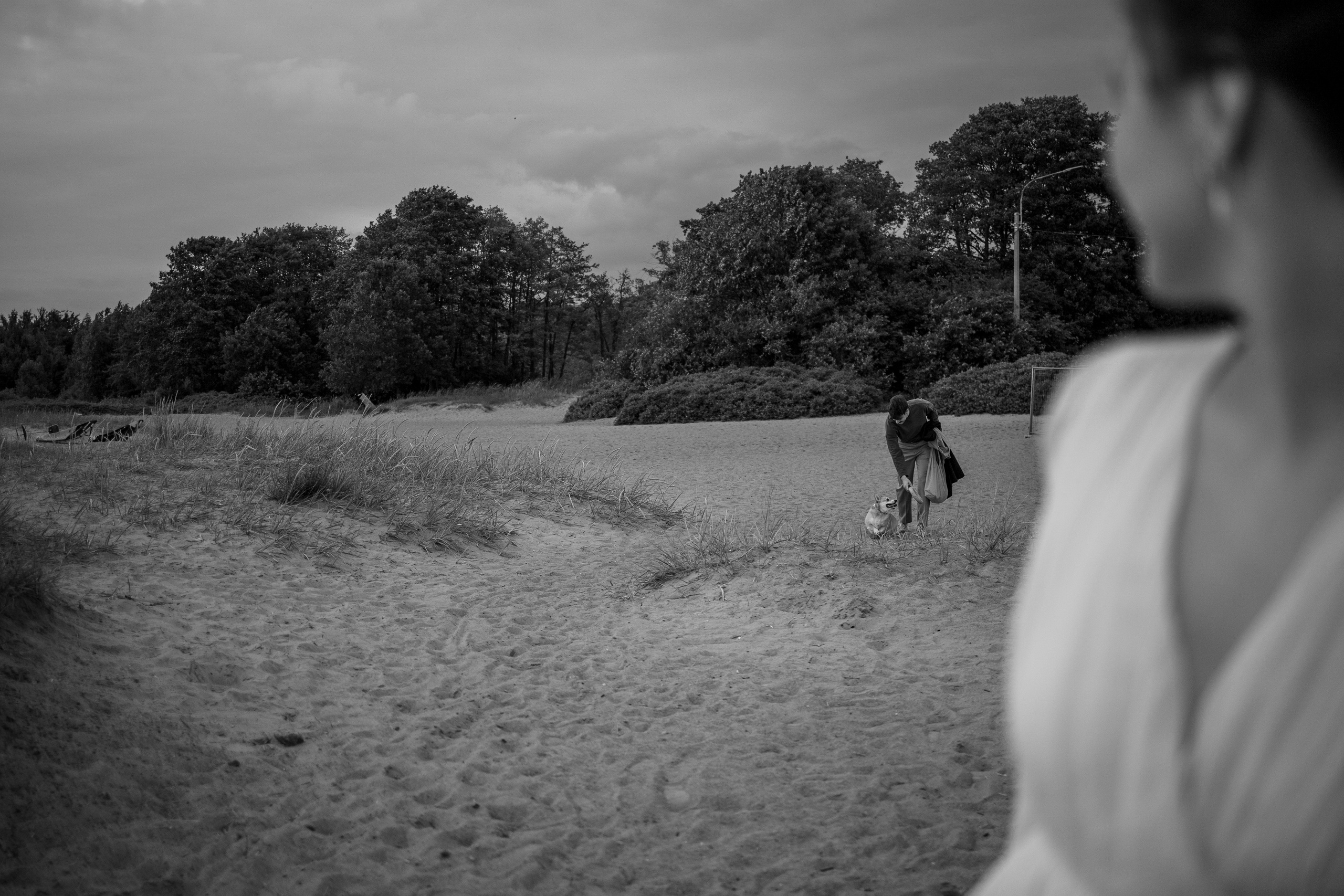 Лотти и ее семья. Фотограф — Анималист | Санкт-Петербург