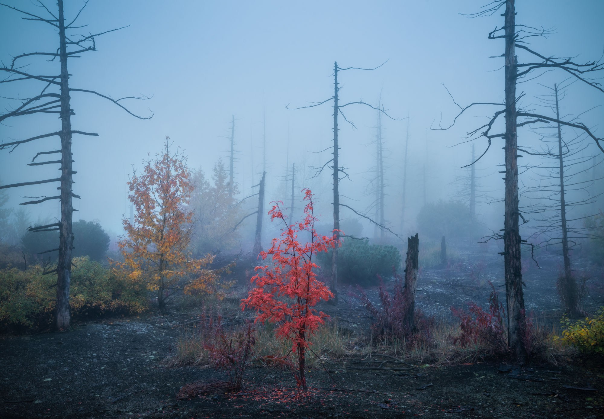 Фотографии Камчатка