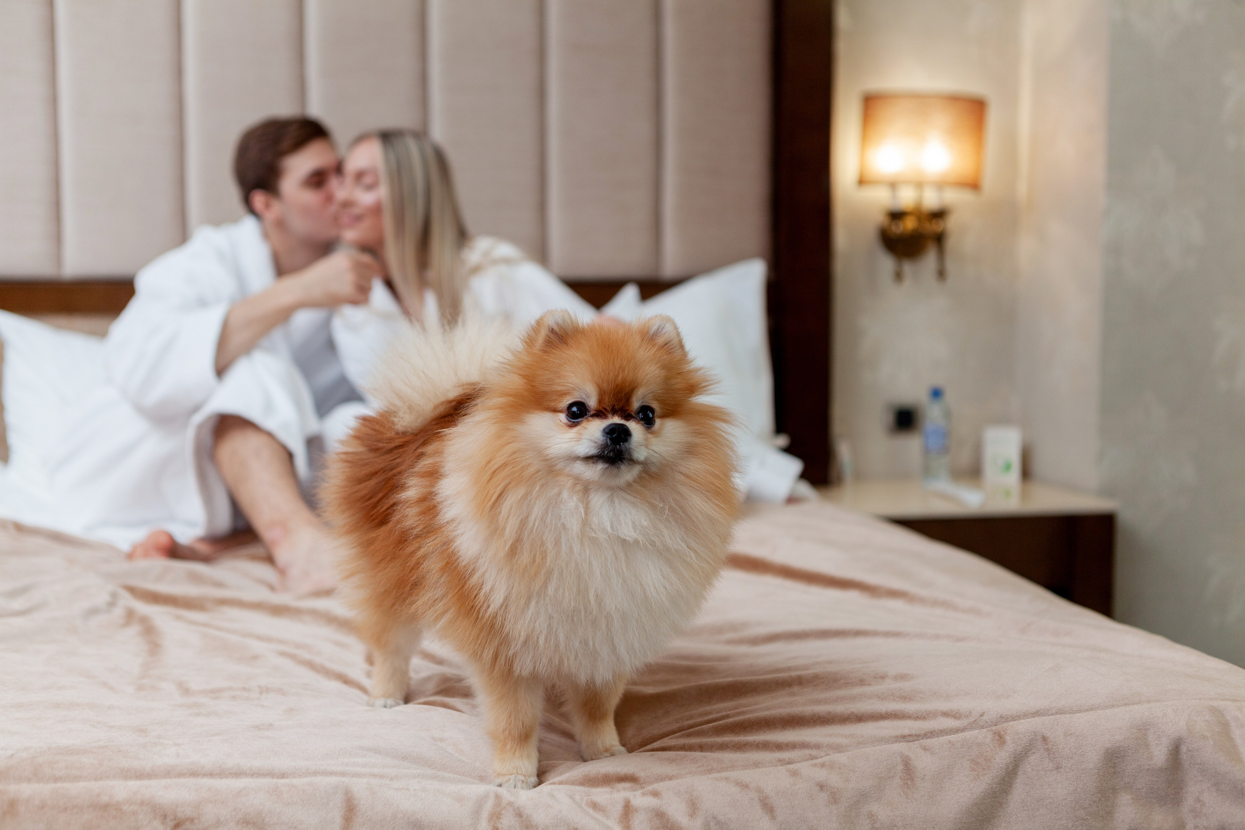 РОМАНТИК В НОМЕРЕ. Фотограф на любое мероприятие