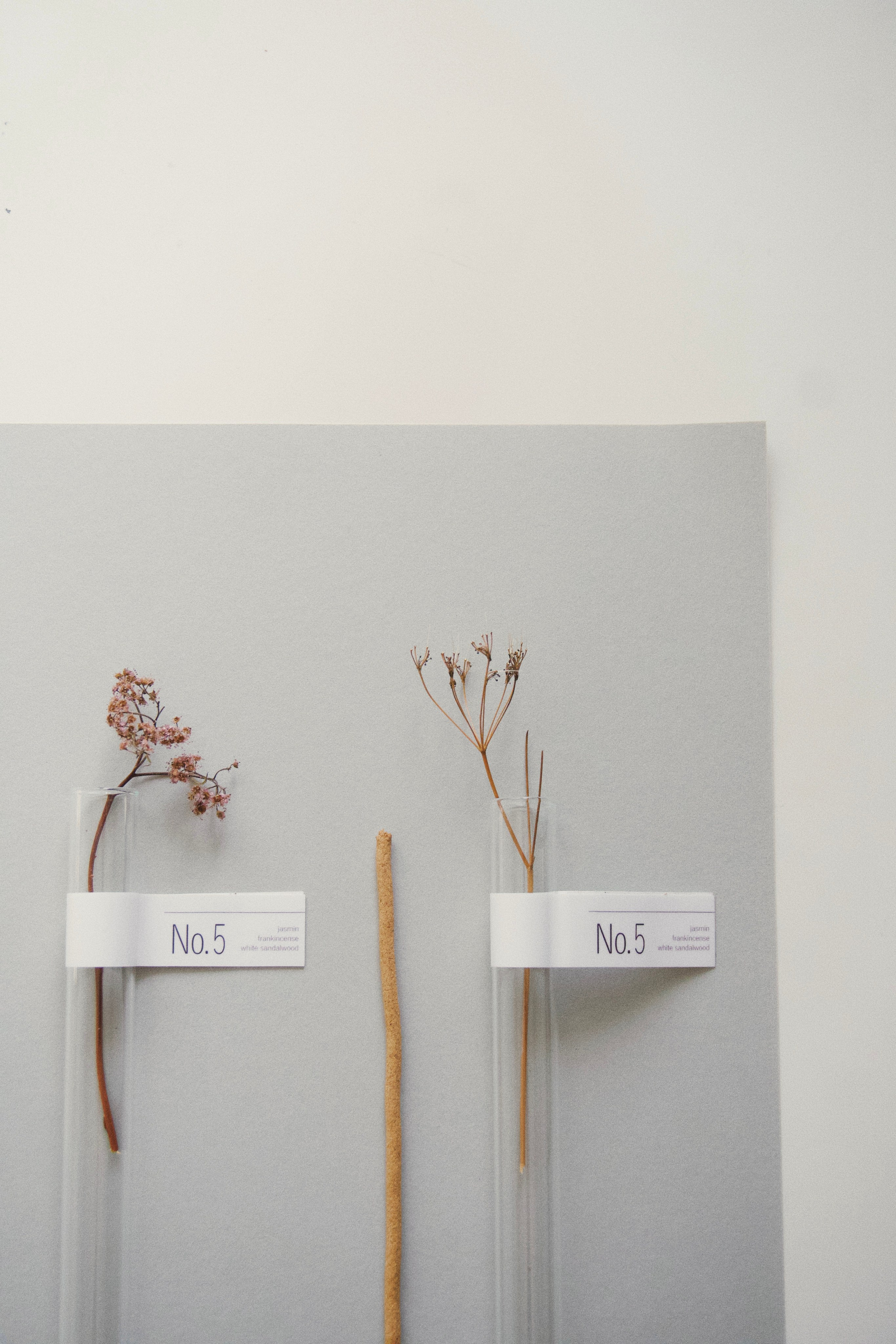 Hypnose. Photokoval.ru