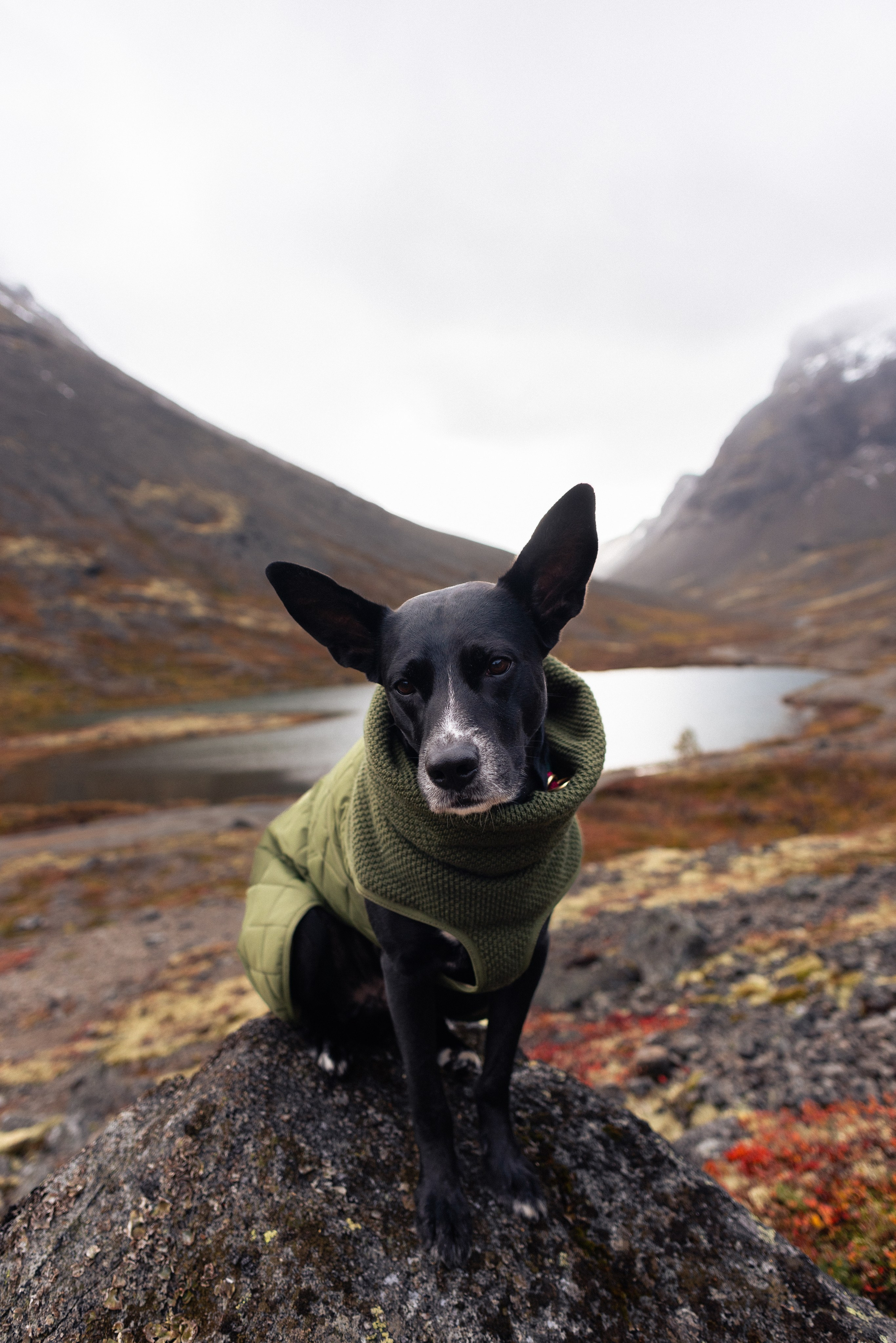 Кольский. Фотограф и видеограф анималист Аганина Дарья