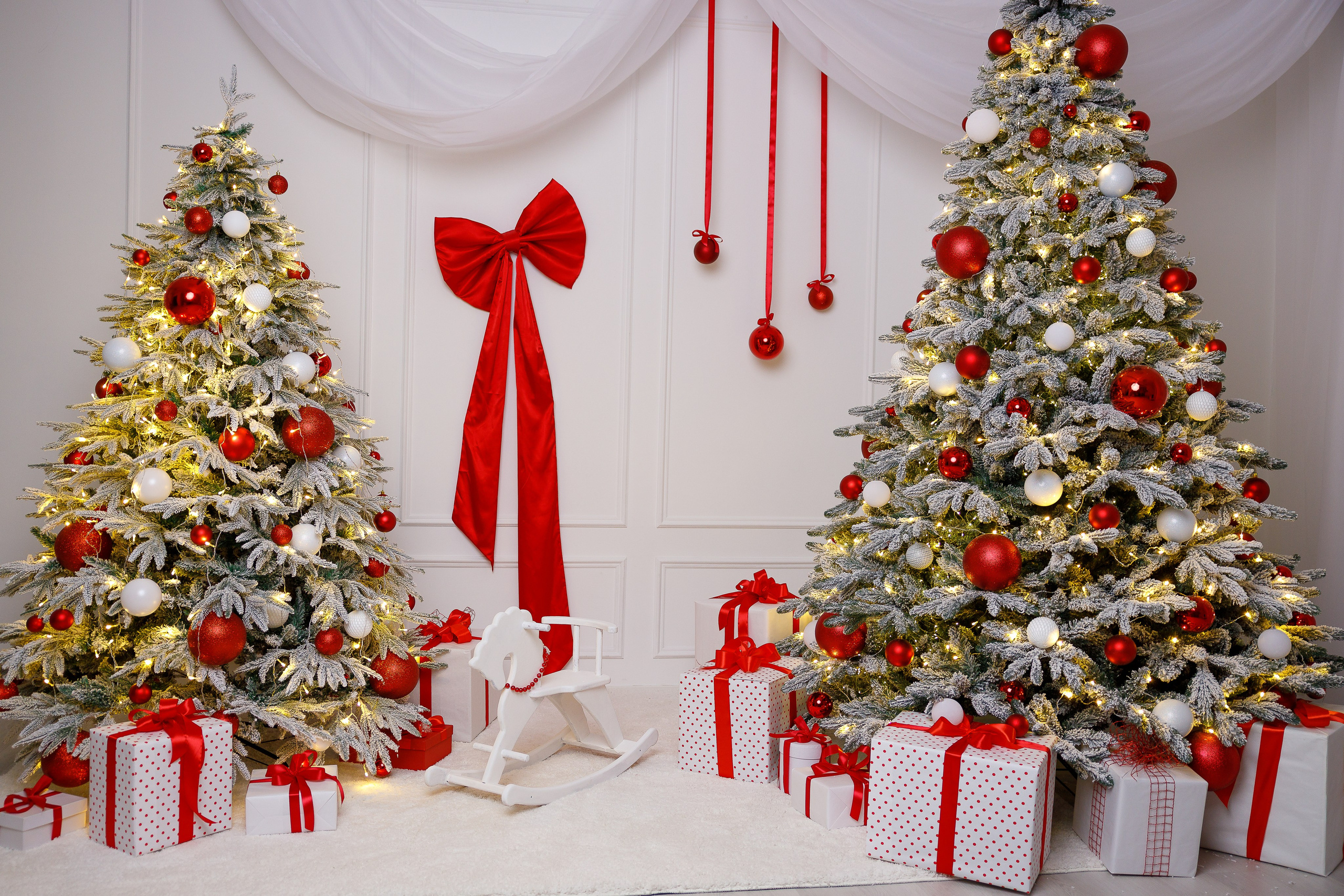 локация с елками на новый год 20216