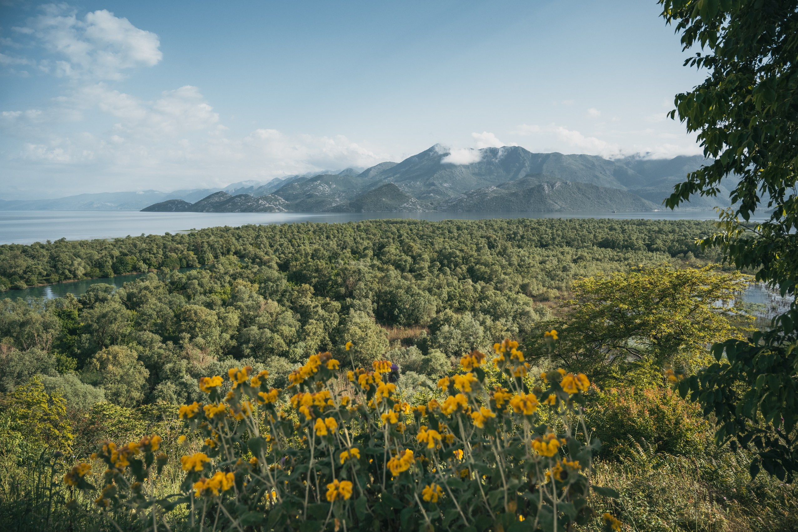 СКАДАРСКОЕ ОЗЕРО. ЧЕРНОГОРИЯ. Фотограф в Белграде Чугреева Елена