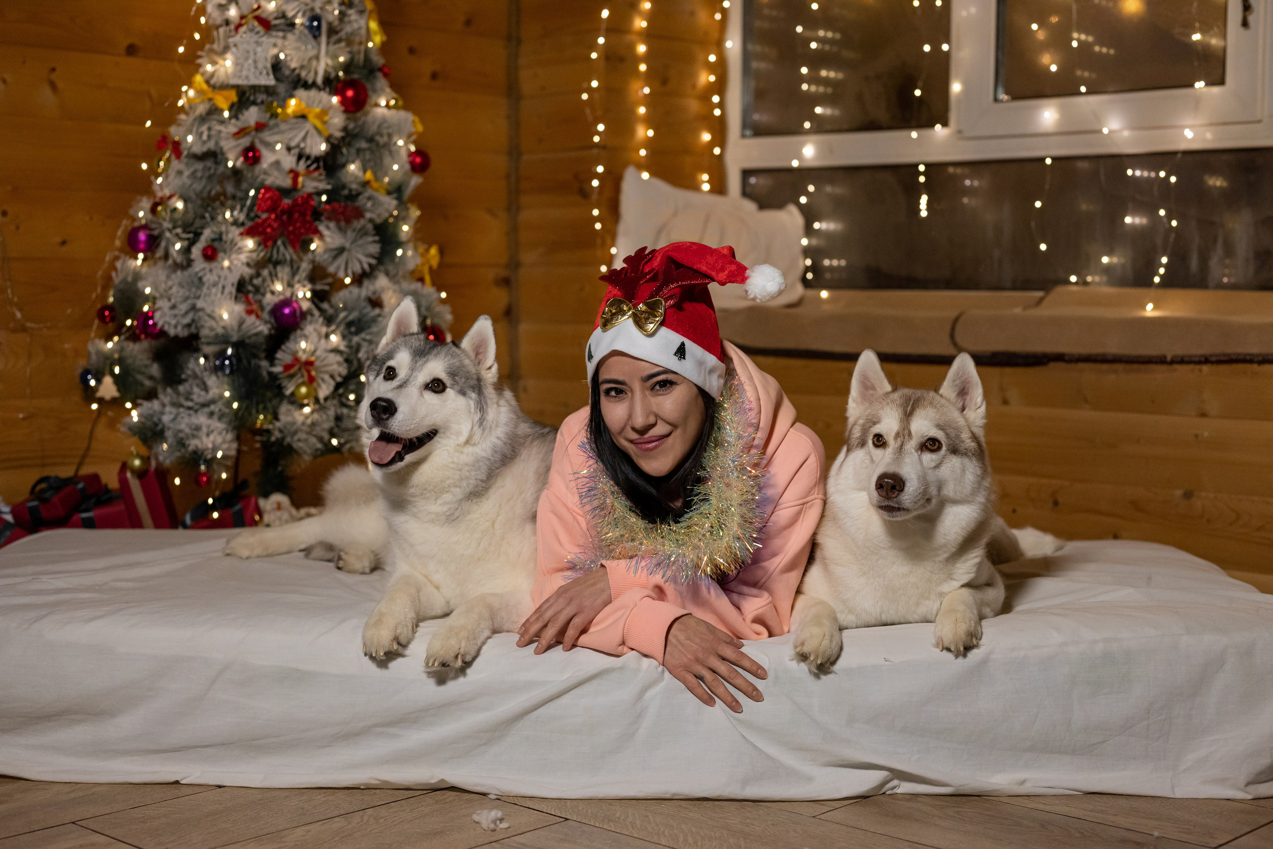 Фотопроект с хаски 2025 г. Фотограф в городе Салават