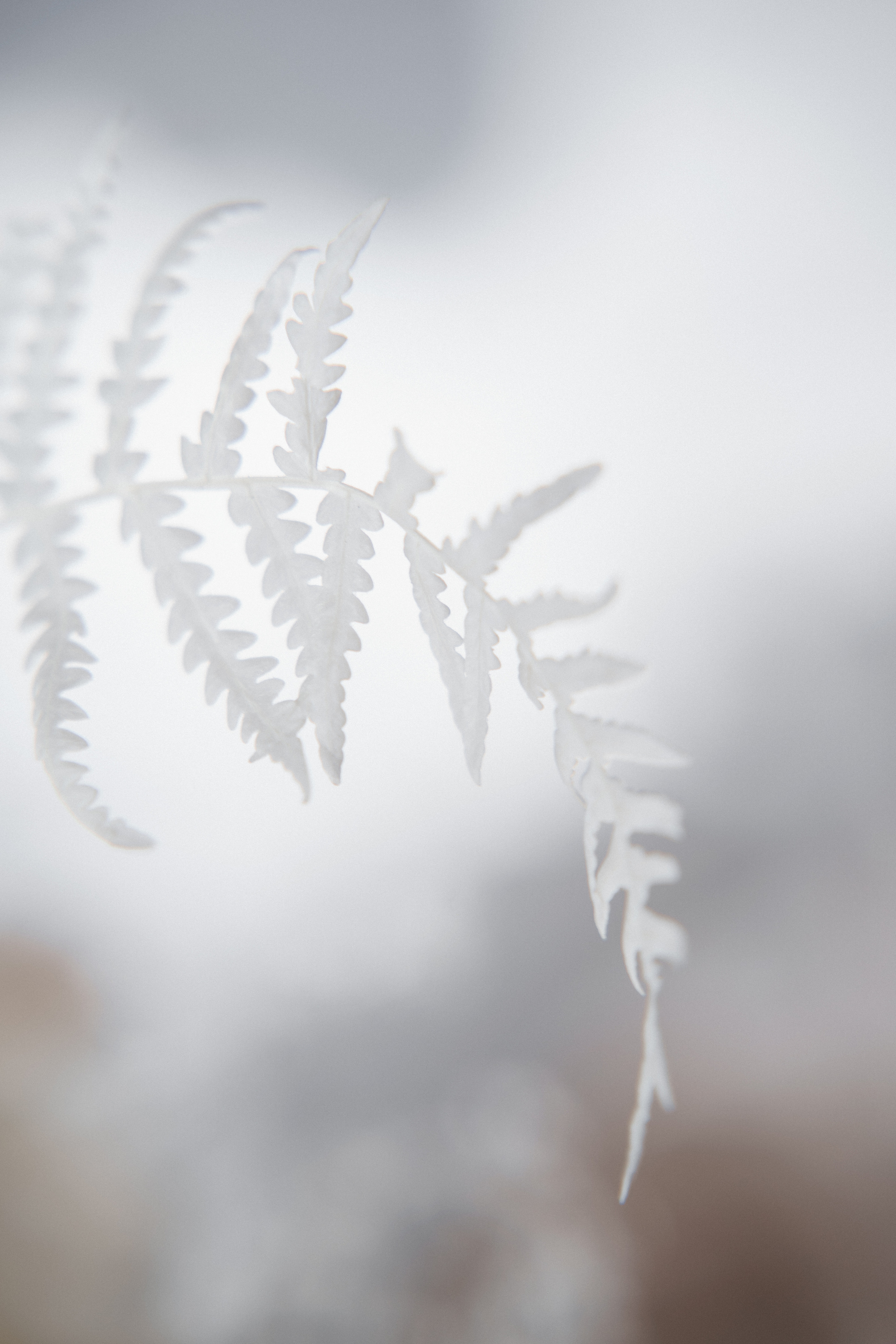 Свадебная история на Алтае. Свадебный и контент фотограф Серёгина Надежда г. Новосибирск