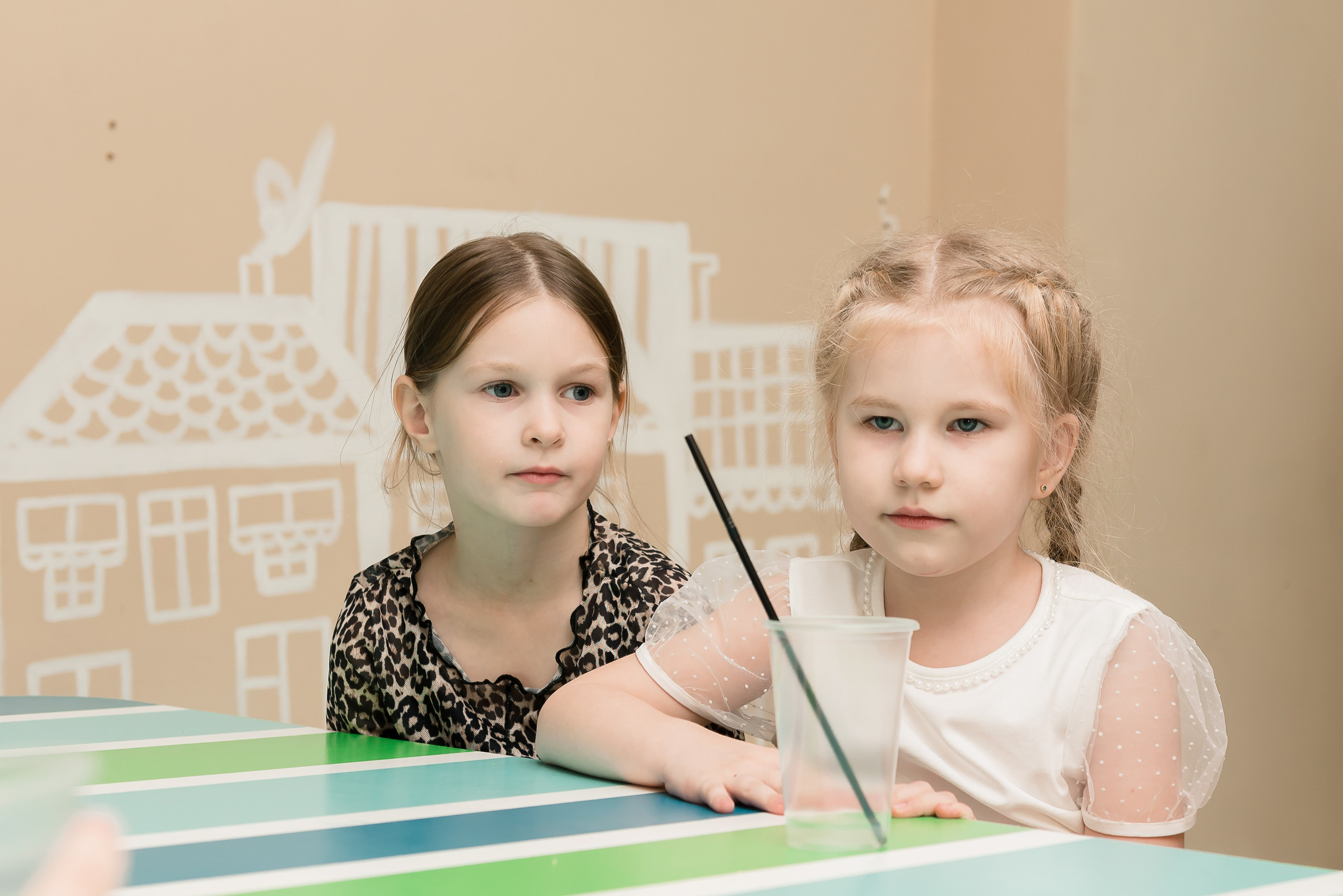 День Рождения в Зёбре июль 2024. Детский фотограф, семейный фотограф и репортажи в Кемерово