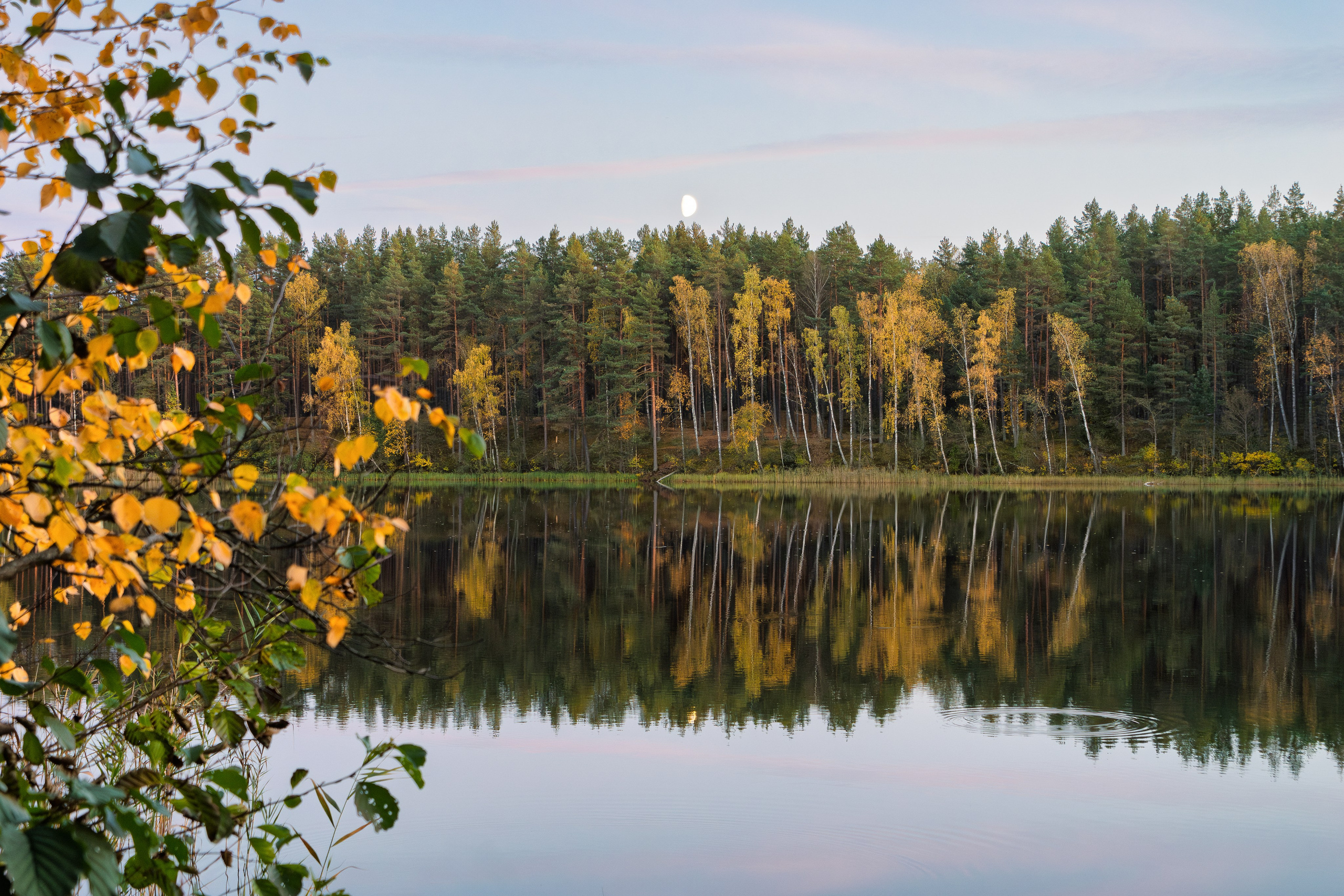 Голубые озера, Псковская область. Октябрь 2024. Фотограф Никифоров-Гордеев Сергей. Москва и МО