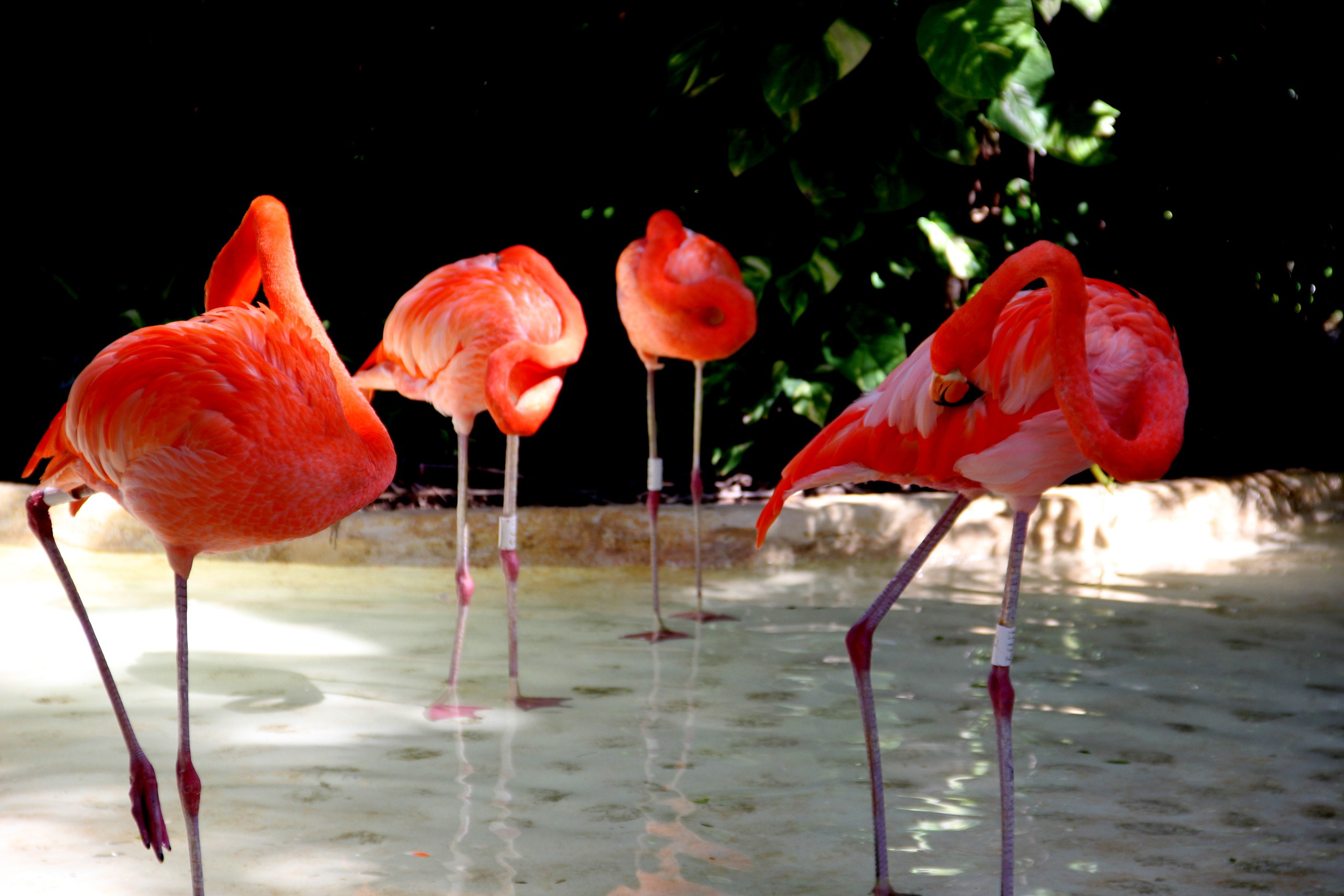 Калейдоскоп путешествий. Семейный и детский фотограф. Москва. Пронина Тома