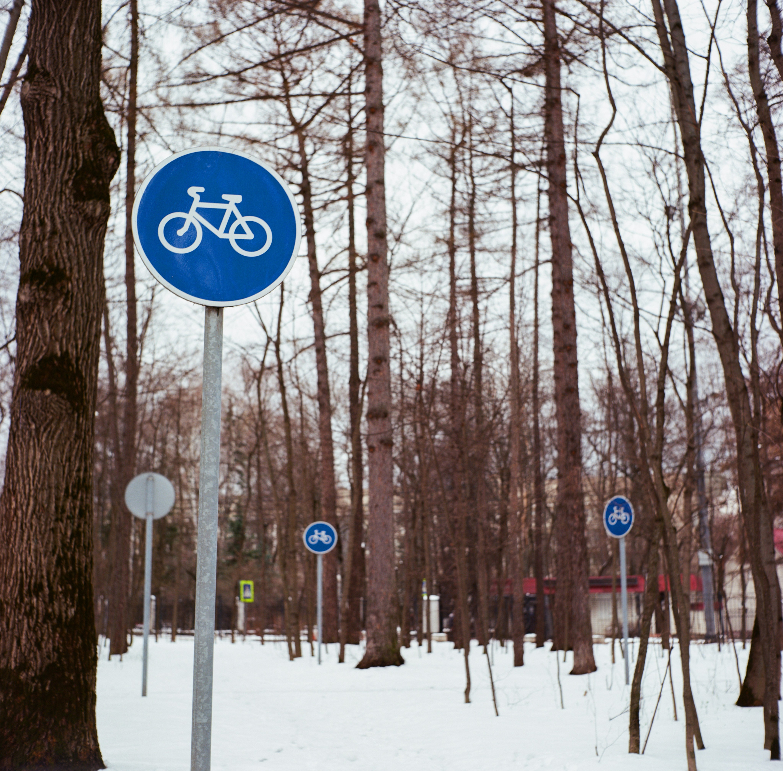 Плёночная весна 2025. Илья Михачёв Фотограф ПРО людей