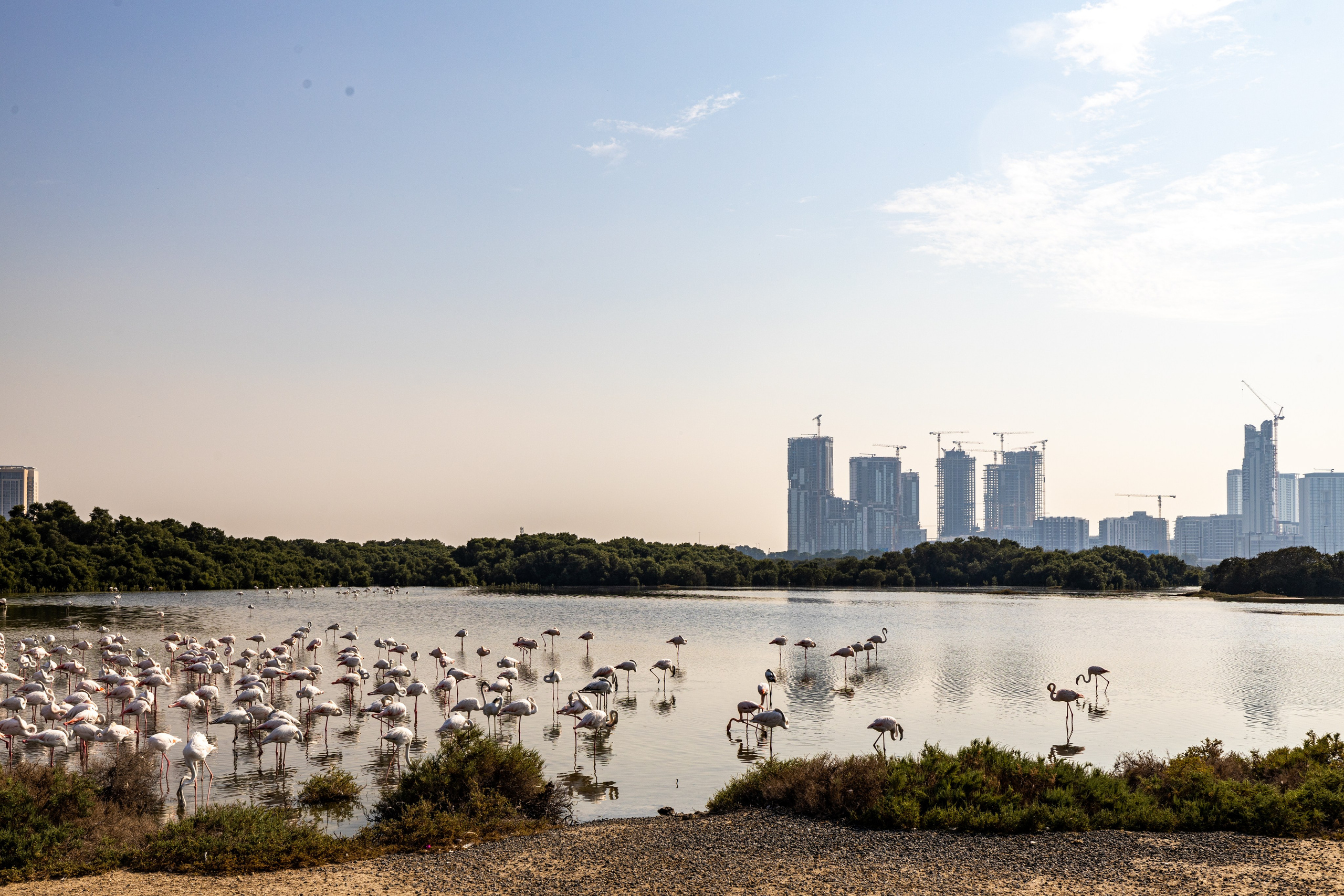 Новогодняя поездка в Дубай. Фотографирую жизнь! Московский фотограф волонтер