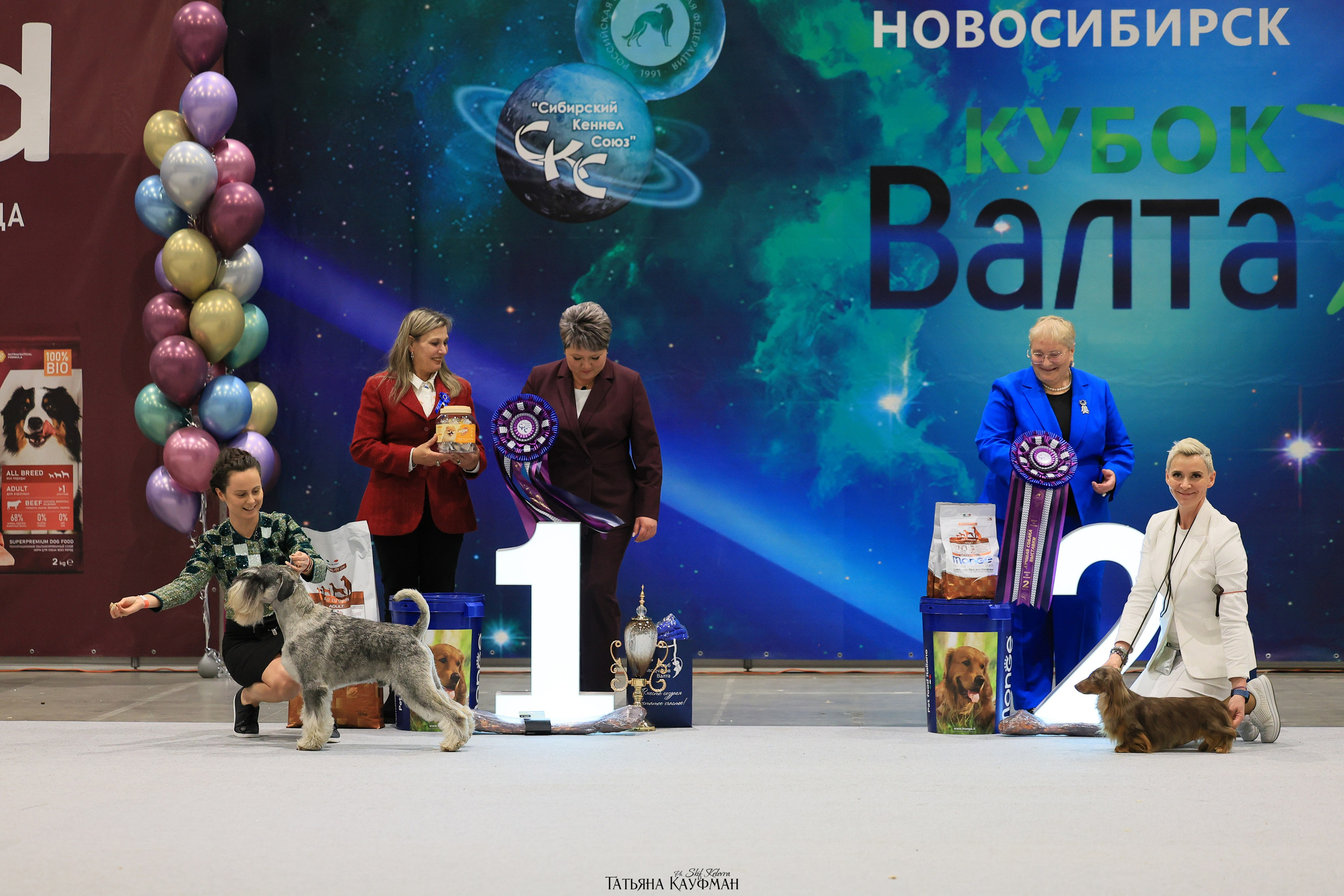 28-29.03.2026 Рейтинговая выставка в Новосибирске. Фотограф Анималист из Новосибирска Татьяна Кауфман