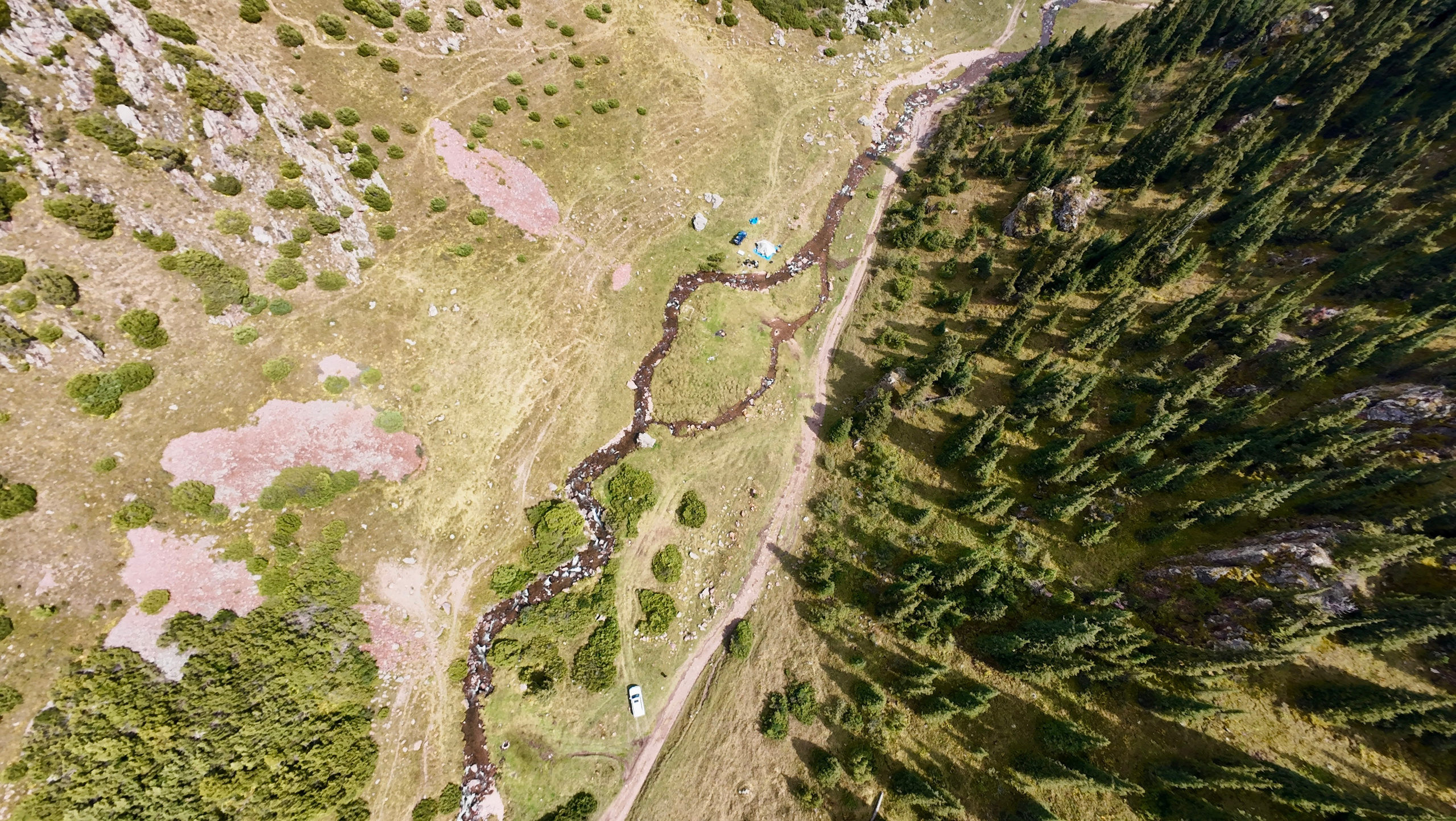 Поездка на плато Ассы и за пределами. Экскурсии и туры по Алматы