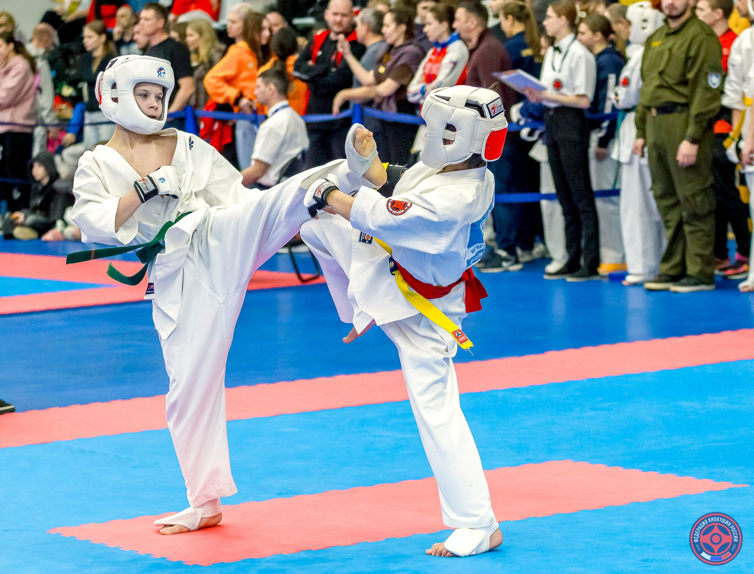 Международный турнир по киокушин «Открытый кубок Seiken». Репортажная съемка в Москве и области. Анималистика