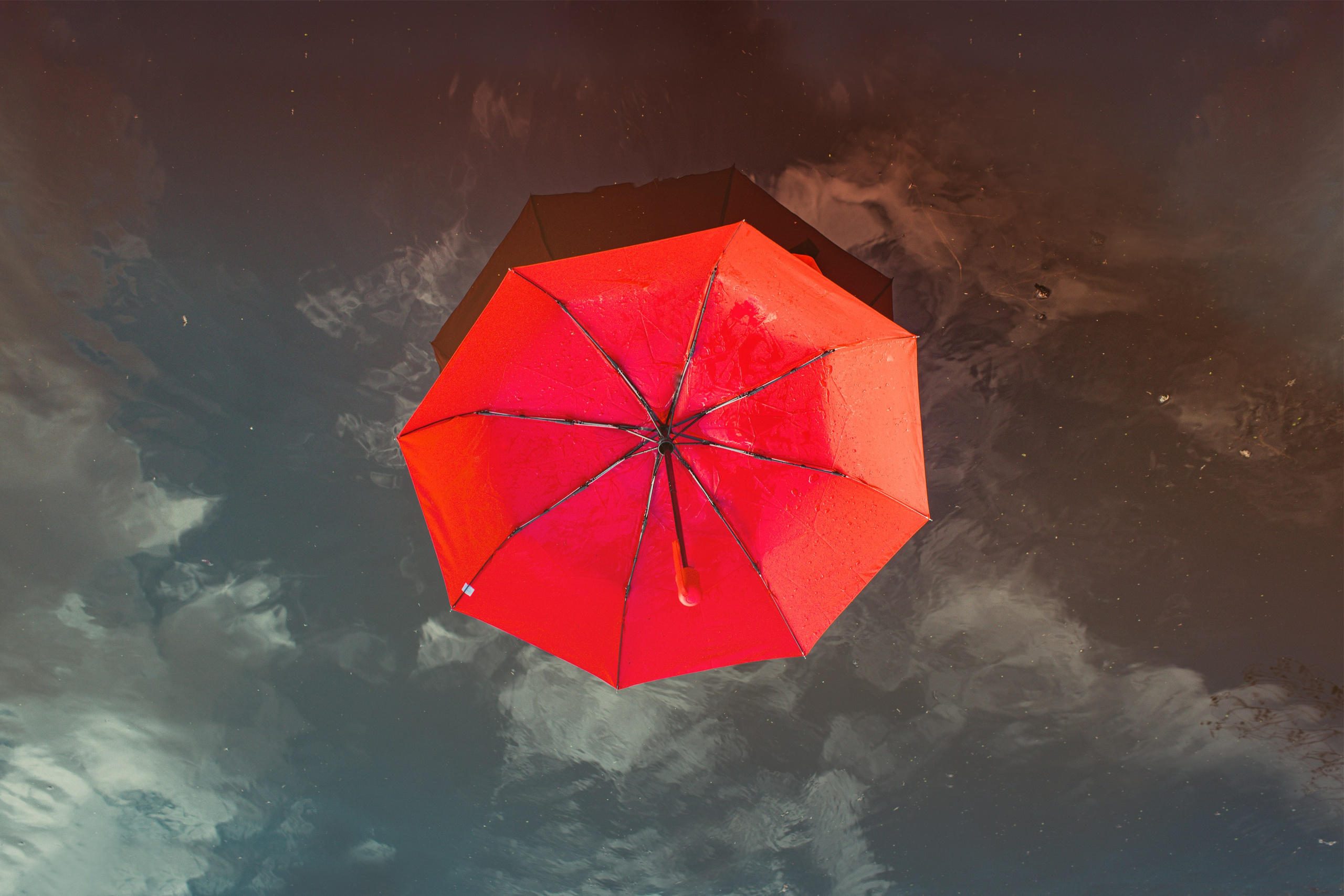 The Expiration Date. ALEXEY KRYLOV | Photography