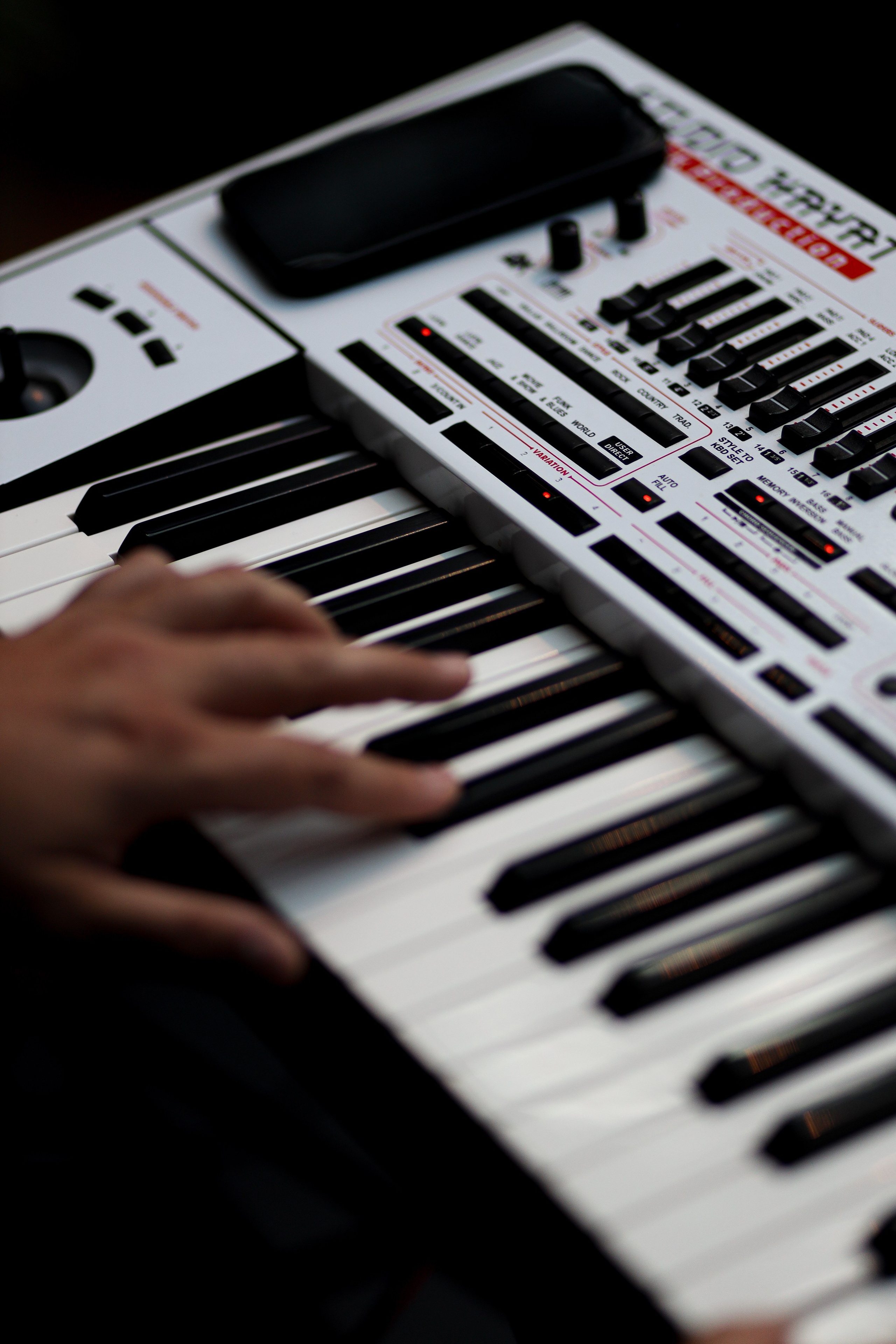 Gastrodvor 3YEARS. Дженбаз Павел — фотограф в Ялте