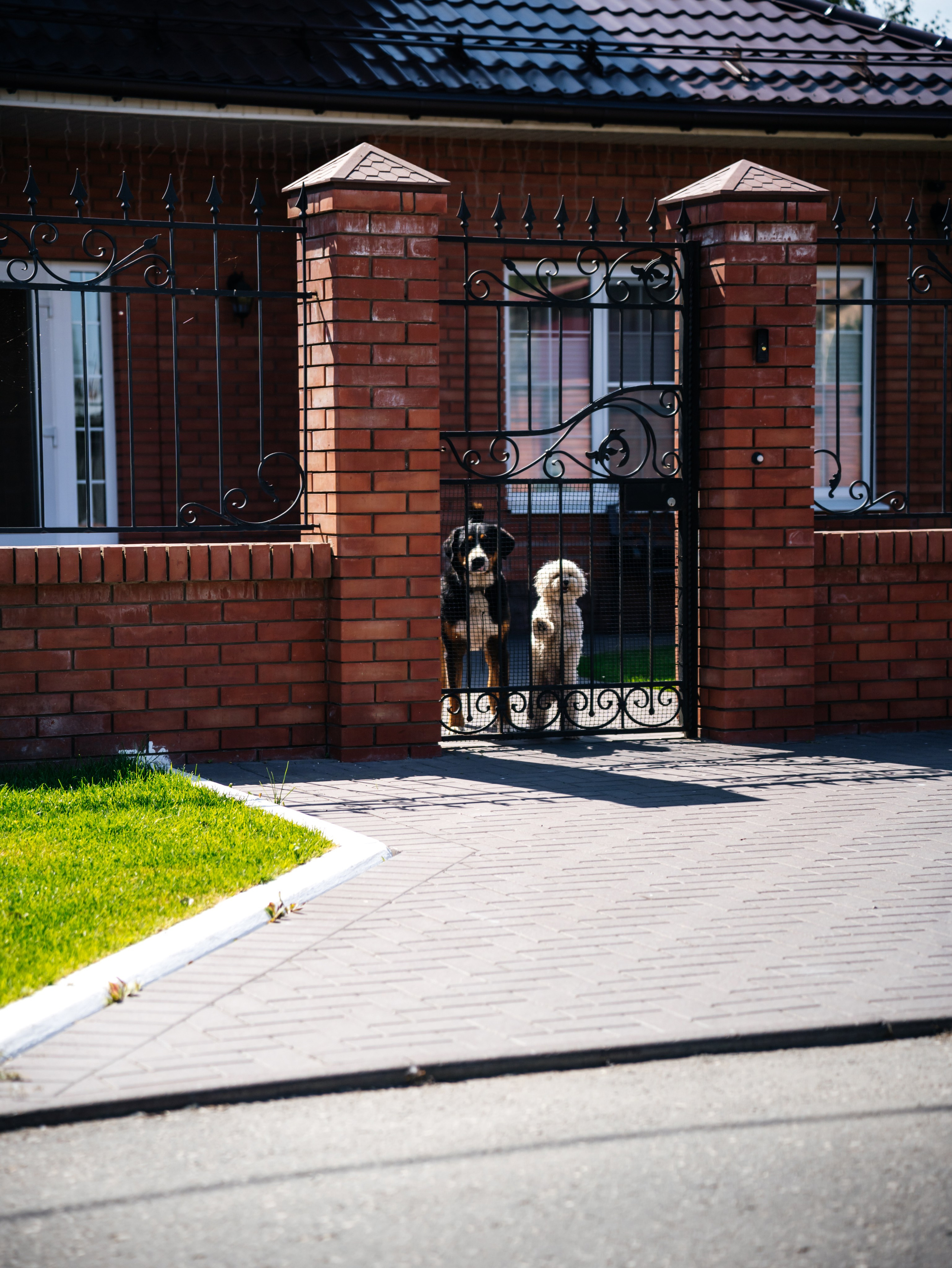 Пахнет как любовь 🤤. Свадебный фотограф и видеограф в Тольятти, Самаре и Москве — Арзу Магеррамов