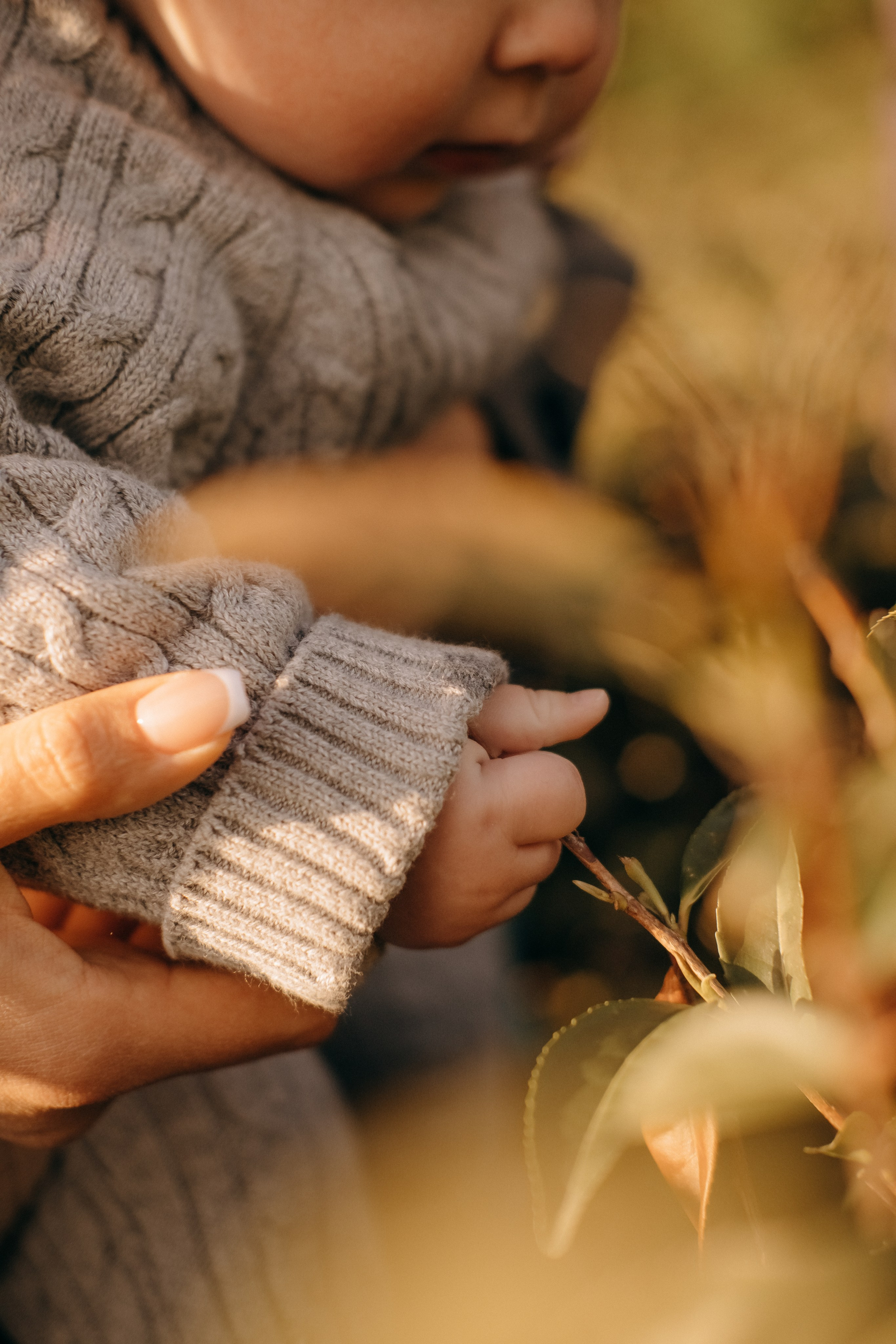 Семейные фотосессии в Сочи, Сириус и на Красной поляне. Семейный, свадебный фотограф Сочи, Адлер, Красная поляна