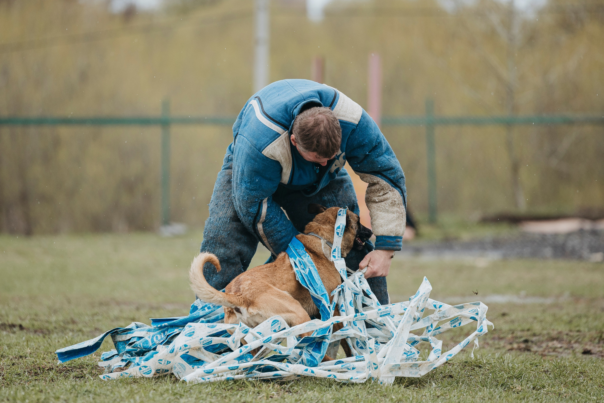 09.05.25 Вологда соревнования. Фотограф-анималист Анна Маринич