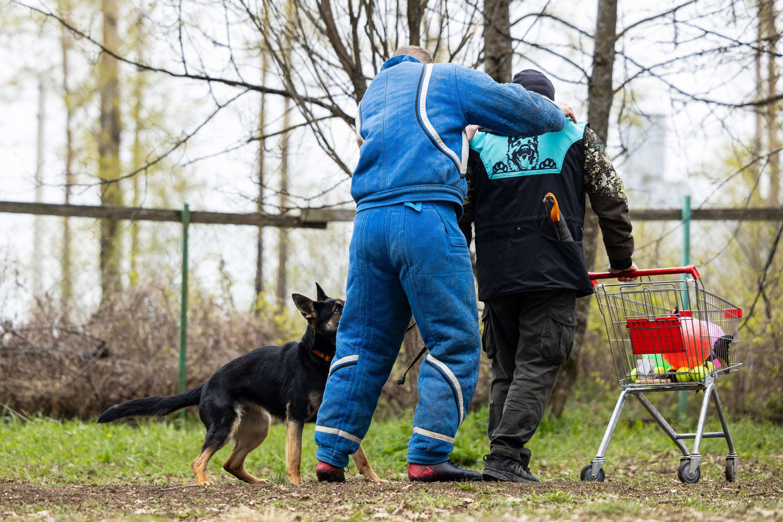 Квалификационные состязания по мондьорингу г. Вологда 11.05.24. Фотограф-анималист Анна Маринич