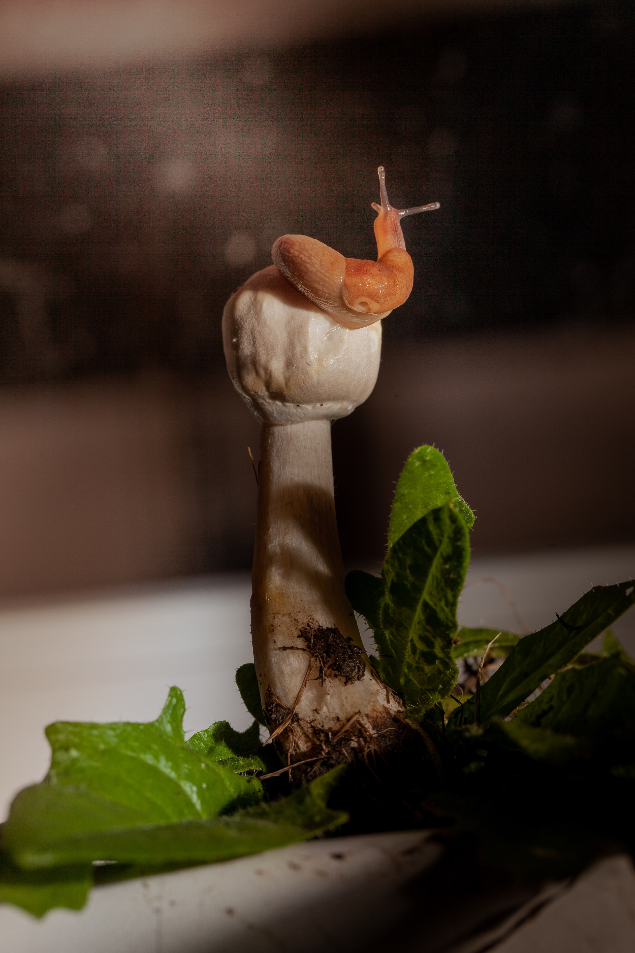 Красота вокруг нас. Медиапродюсер, фотограф в Минеральных Водах —Виктор Холодов