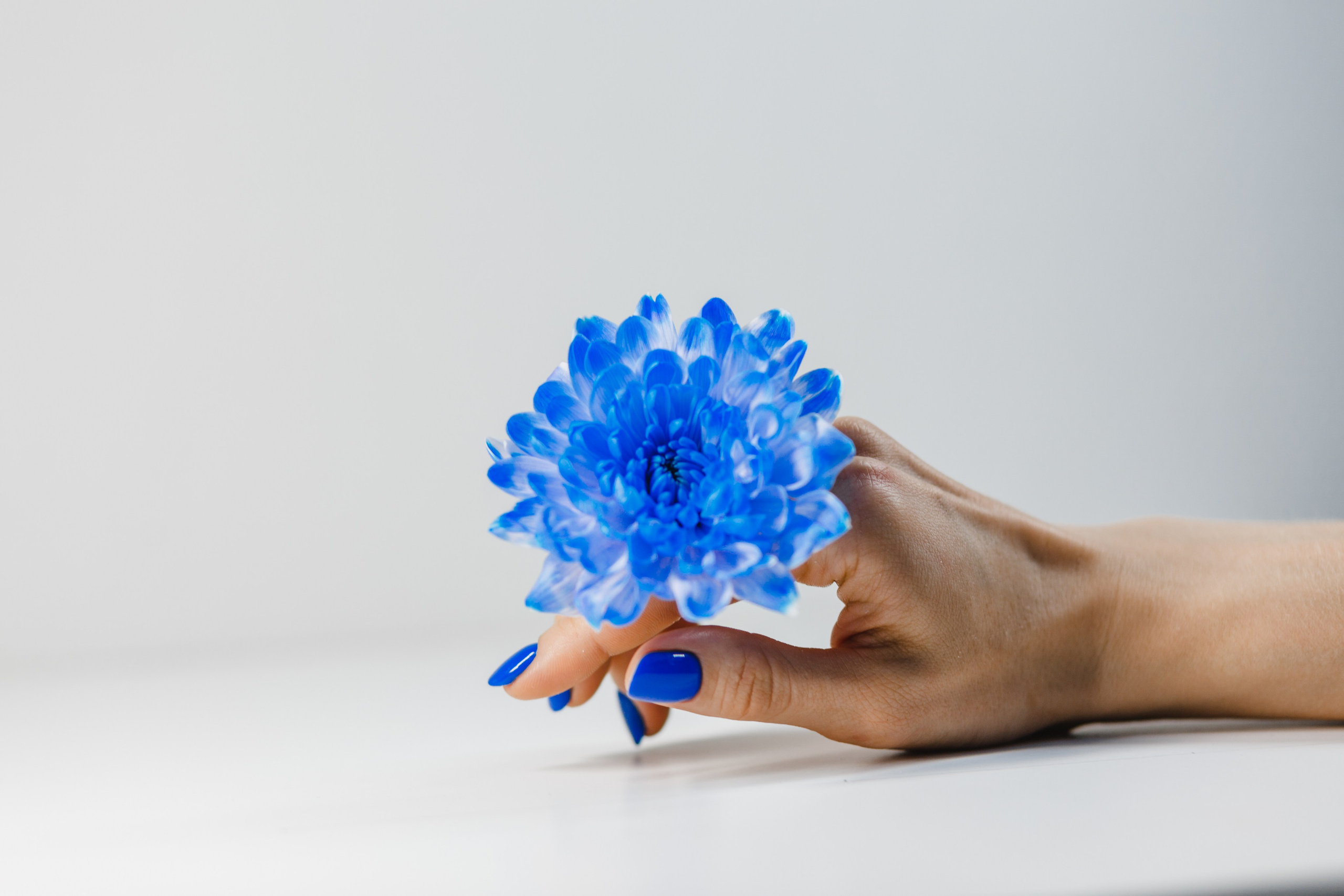 Контент для наставника мастеров маникюра. Семейный и свадебный фотограф Брянск, Москва Ольга Ли