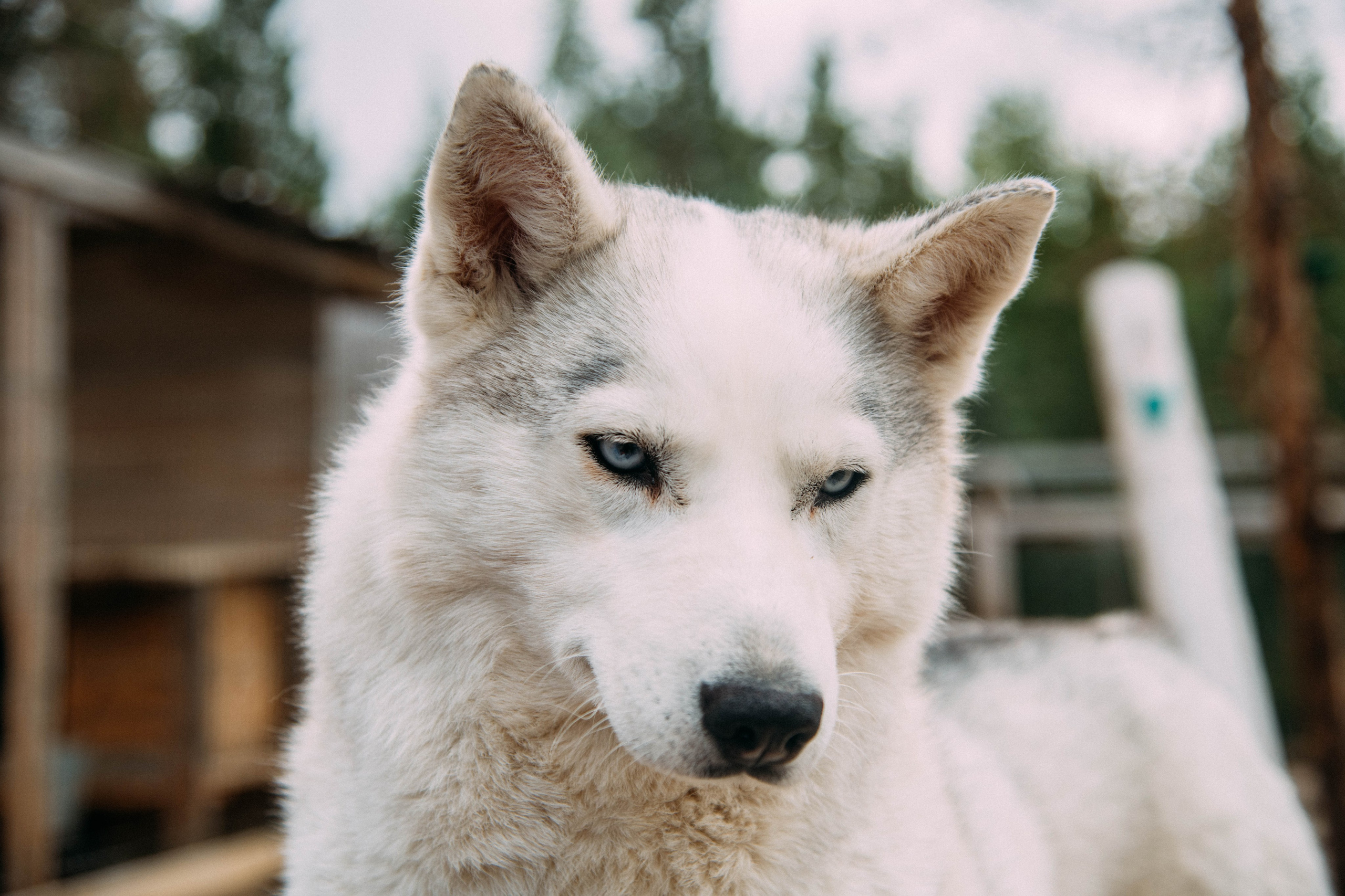 Кольский полуостров. Фотографирую для себя, своей семьи и друзей!