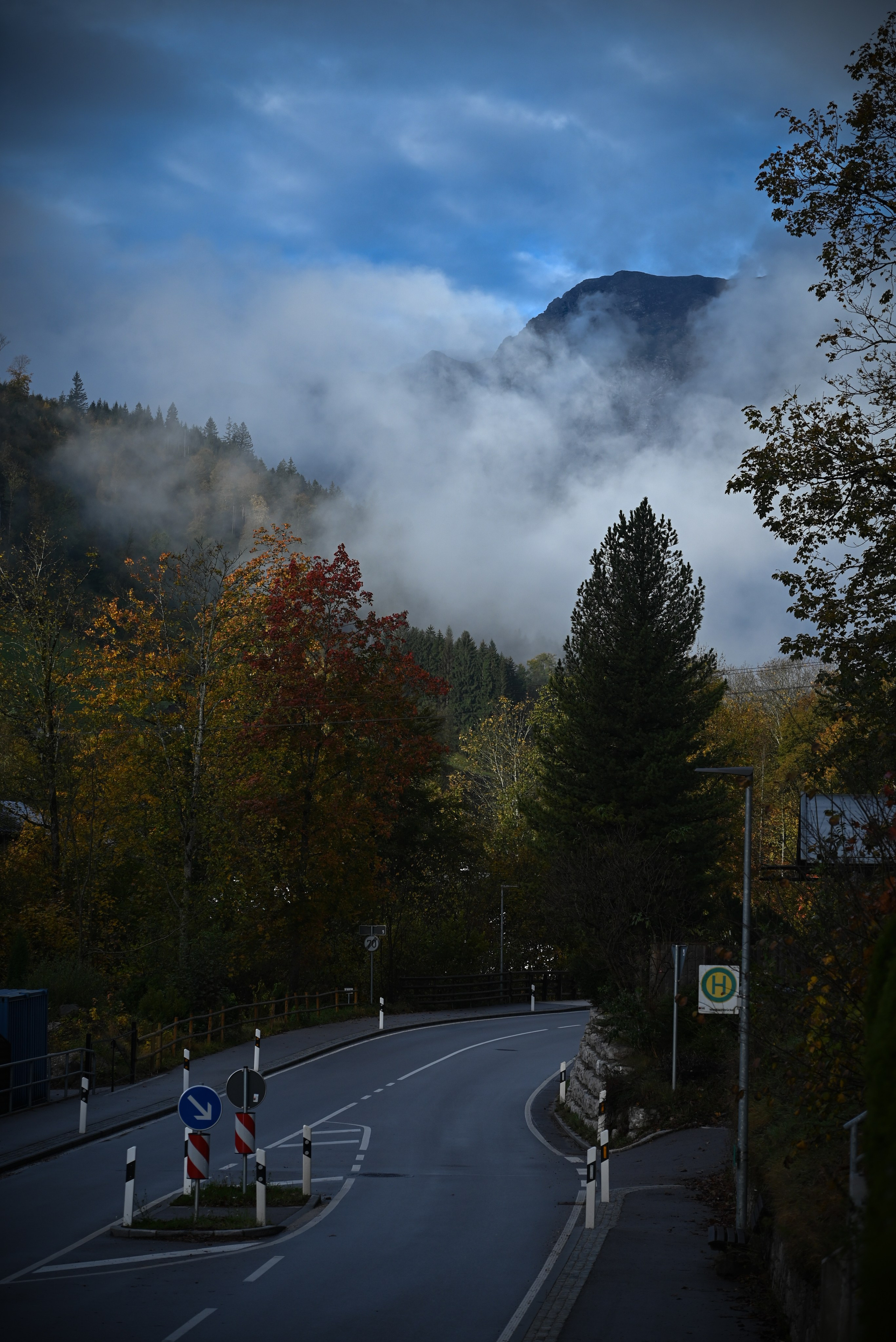 Nature. Андрей Пиотровский. Фотограф