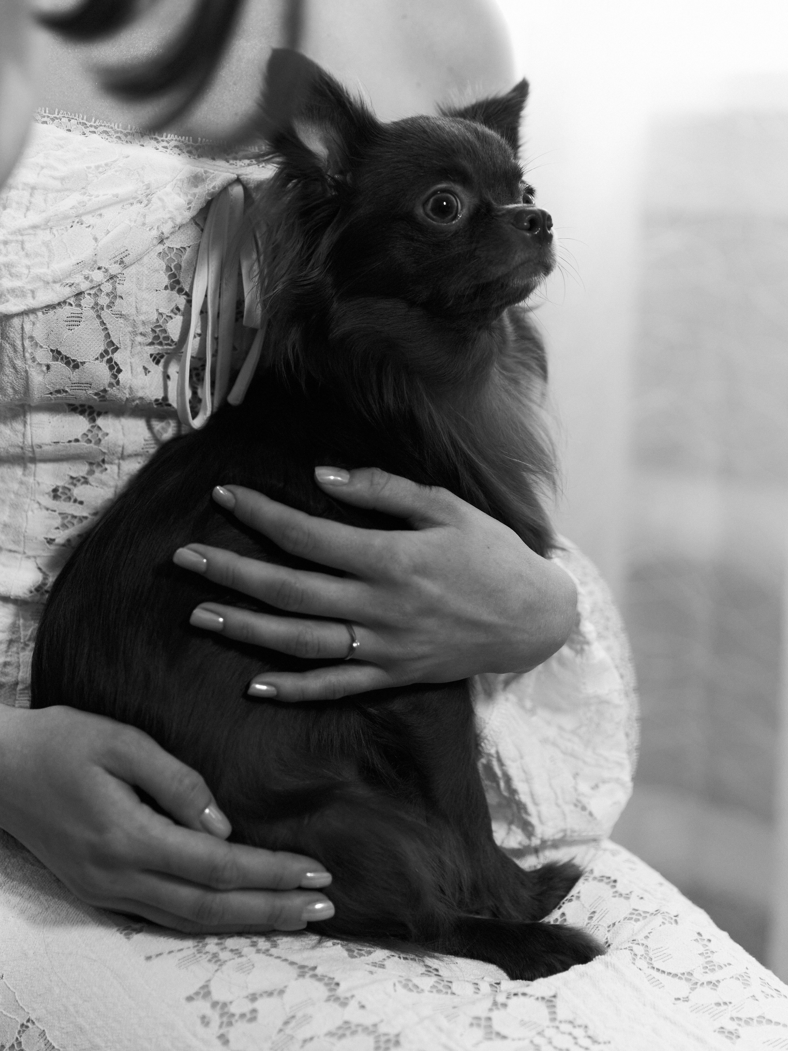 Andrey & Alina. Козырева Ксения — фотограф в Новосибирске