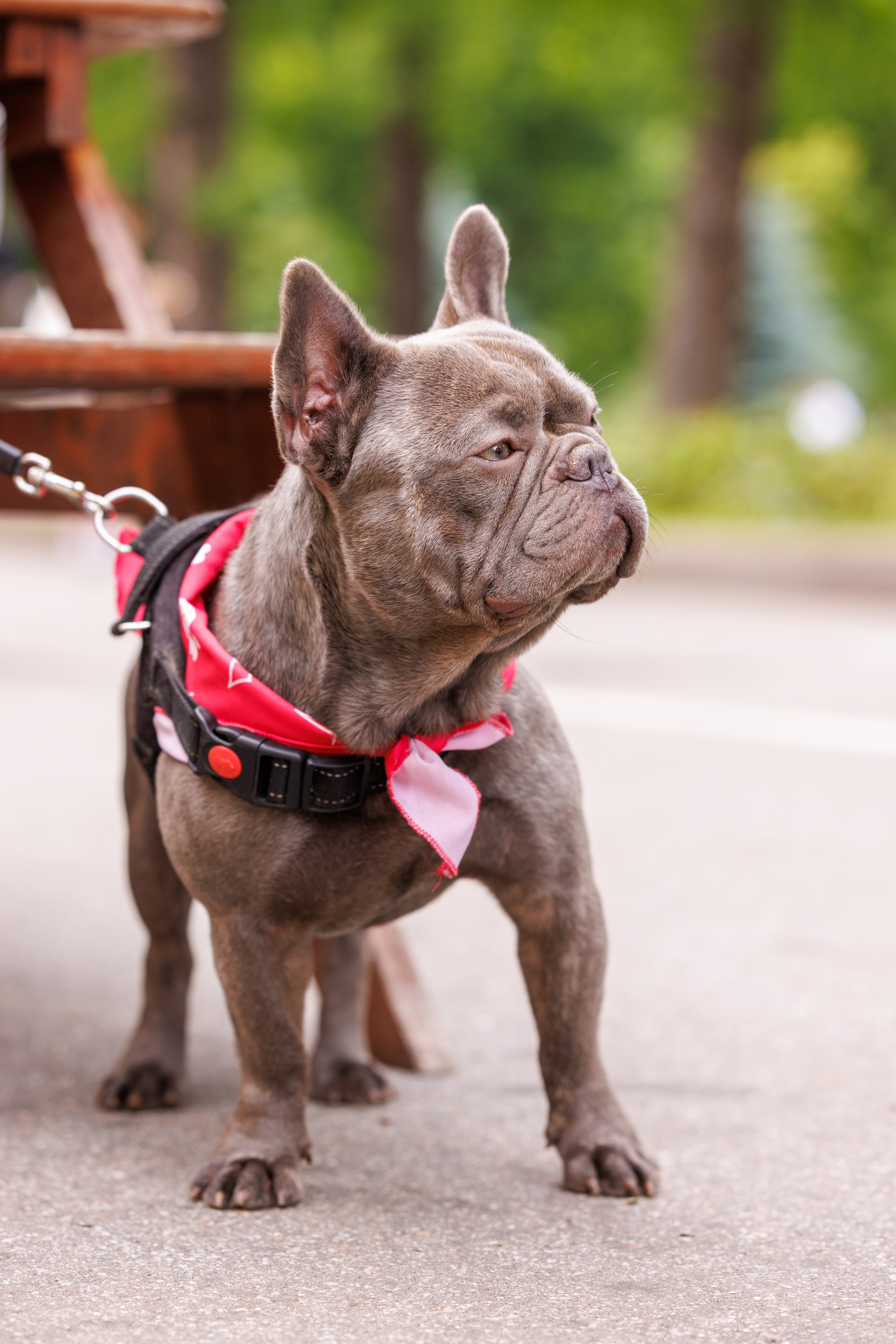 PetShopDays2026. Фотограф Александр Заломаев