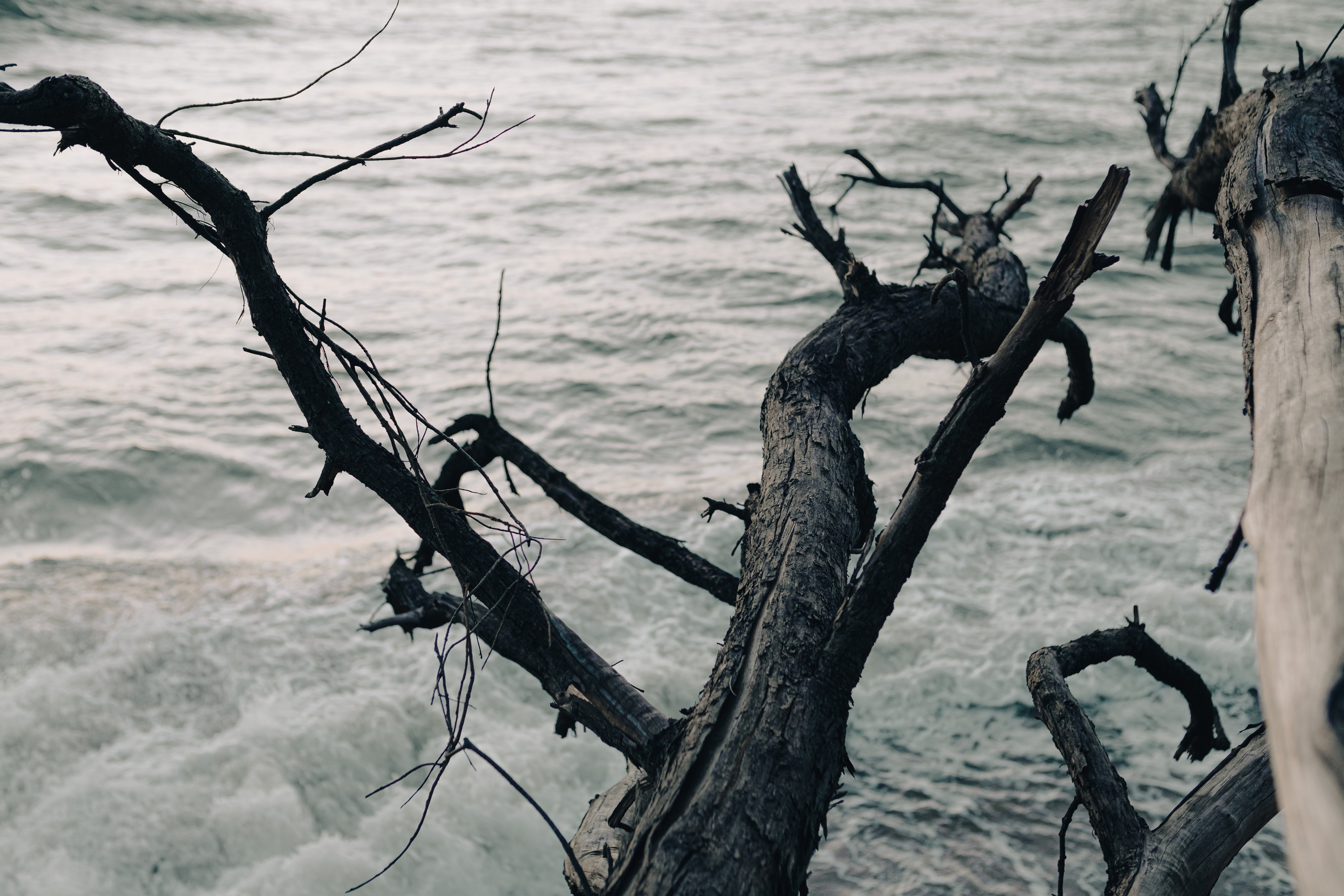 Индивидуальная и коммерческая фотография