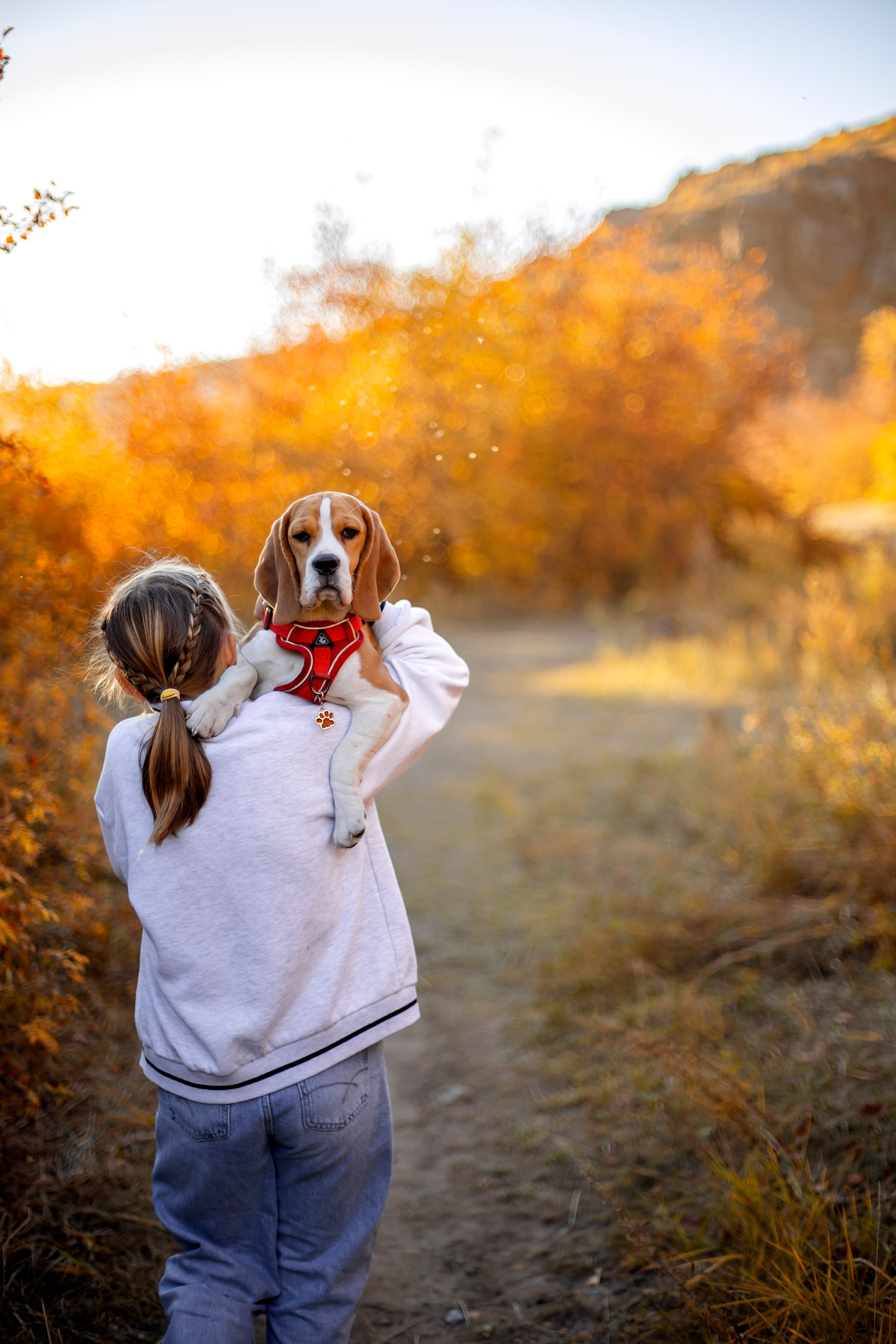 Софья & Боня. Фотограф Григорьева Ольга. Портретная, семейная съёмка, Love Stori, видеосъёмка в городе Чита. Выпускные альбомы, фотокниги
