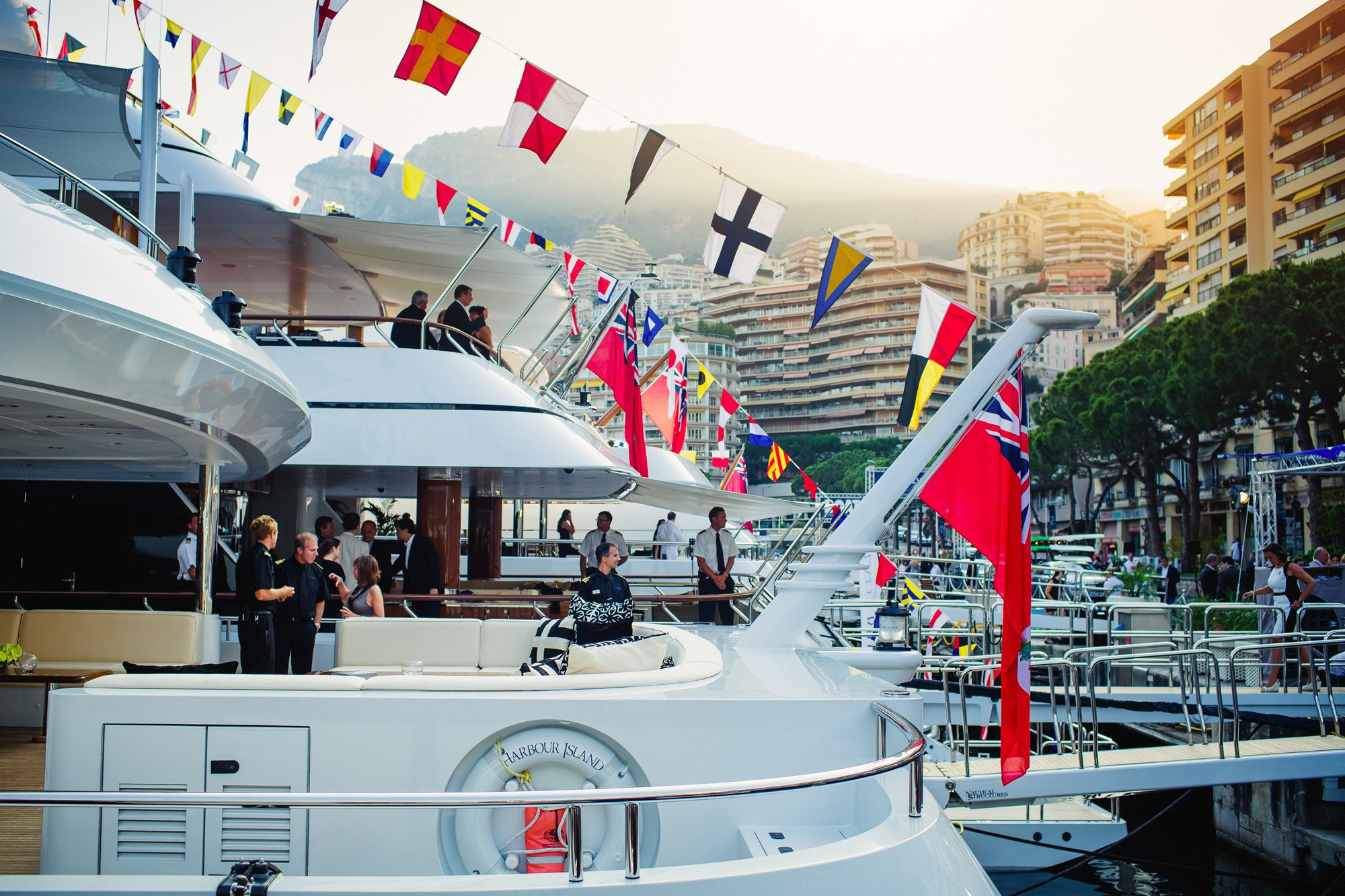 Report VIII. Veedoff