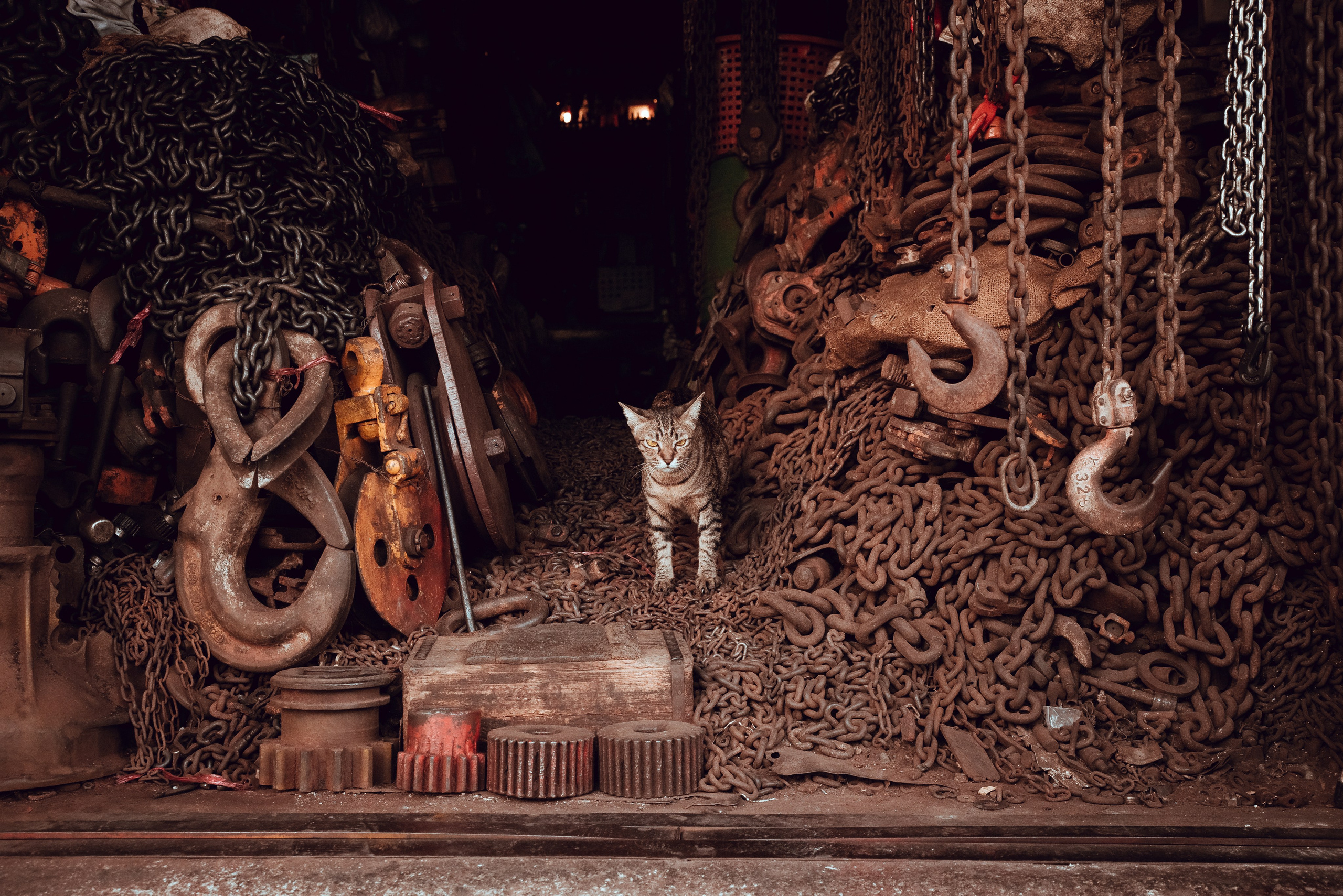 Эд Тихонов. Городской фотограф