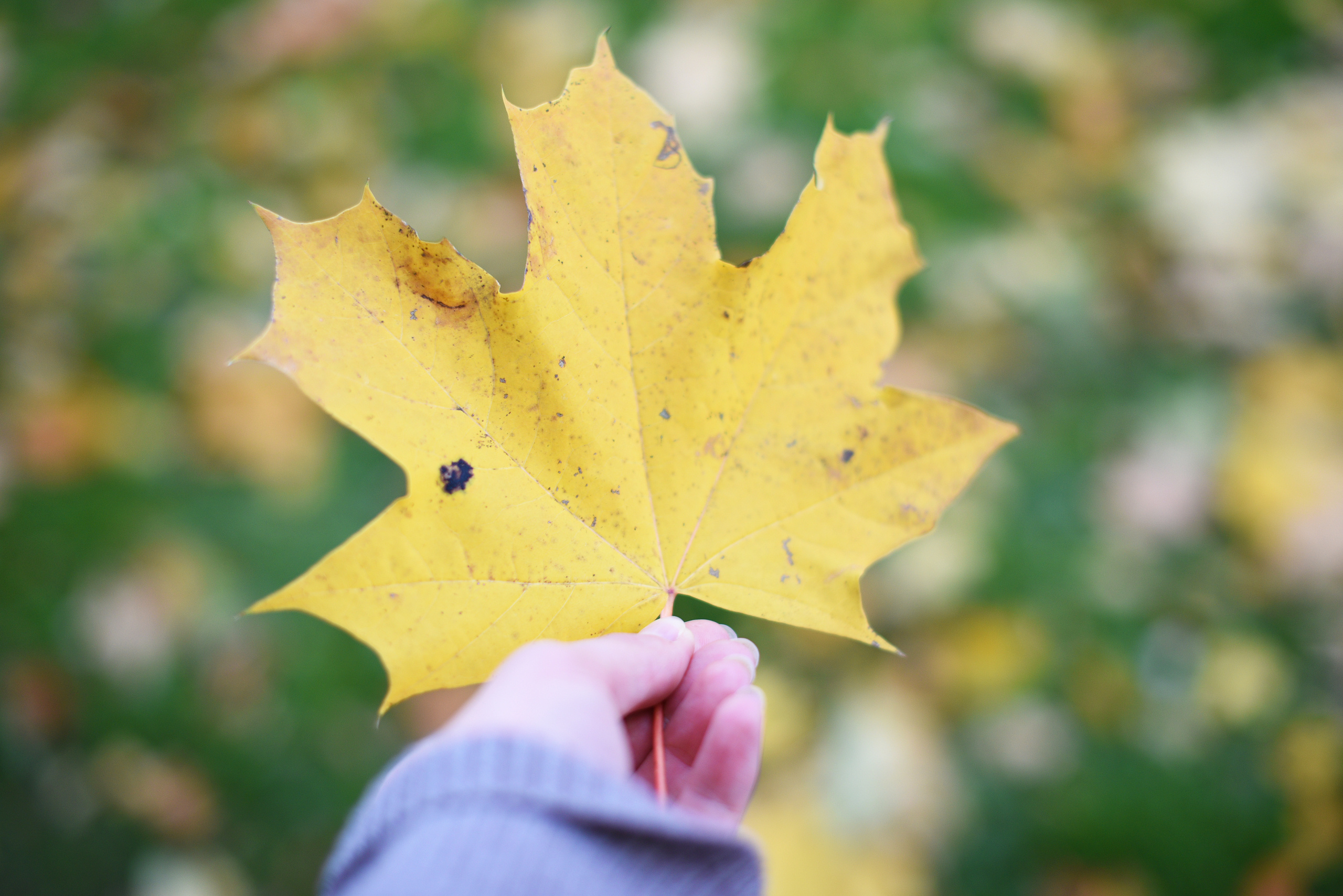 БРАТСКАЯ ЛЮБОВЬ. Семейный Фотограф в Туле Юлия Федотова