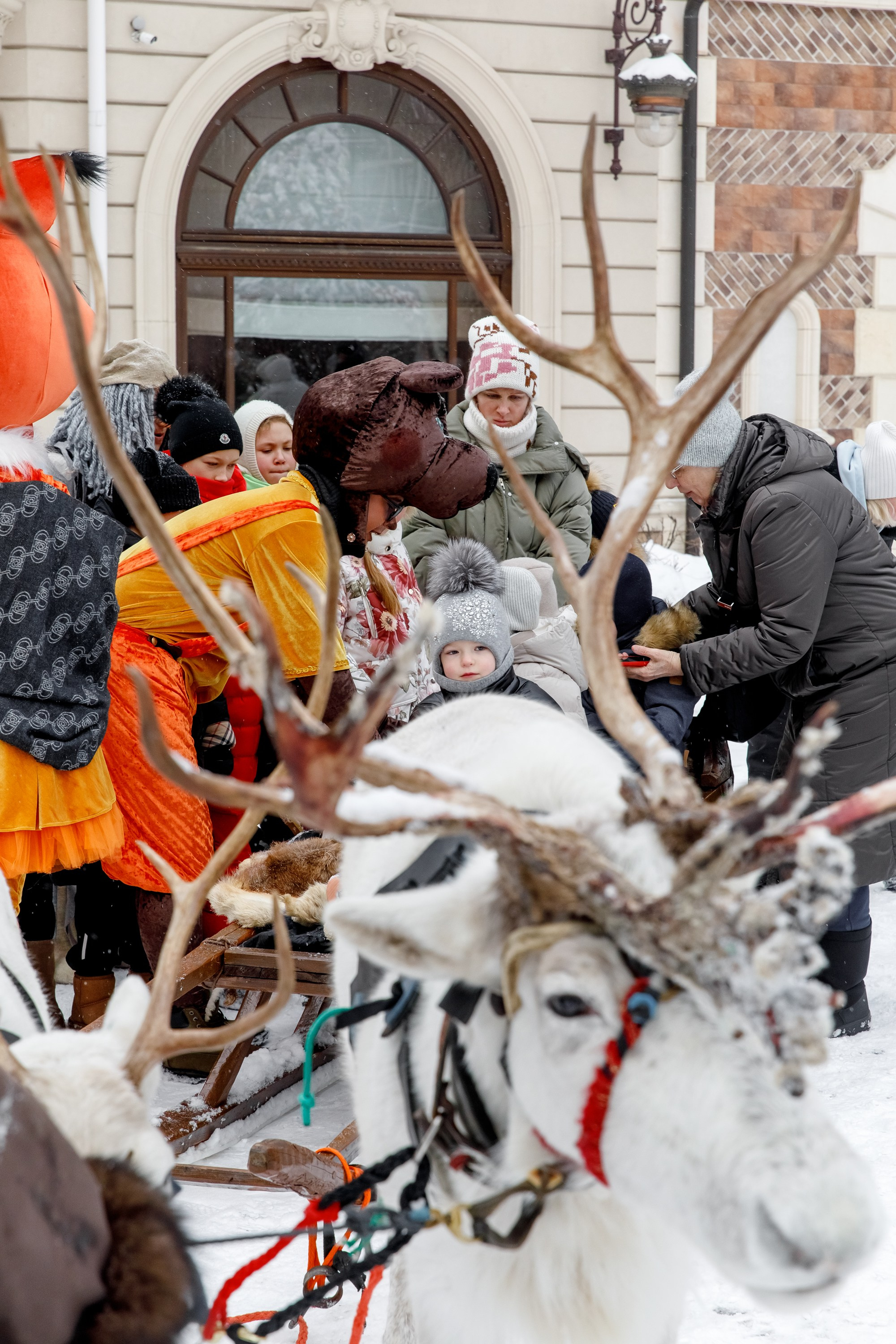 Довиль 2025. Главная