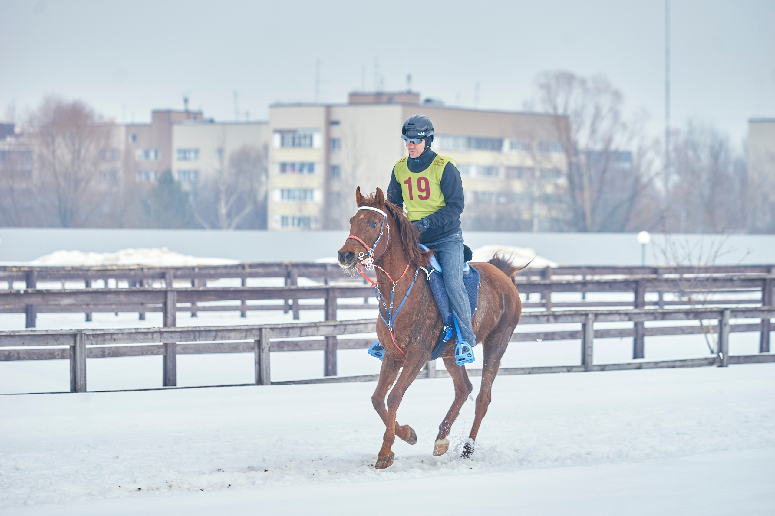 HORSE RACING. Фотограф Наталья Леонова