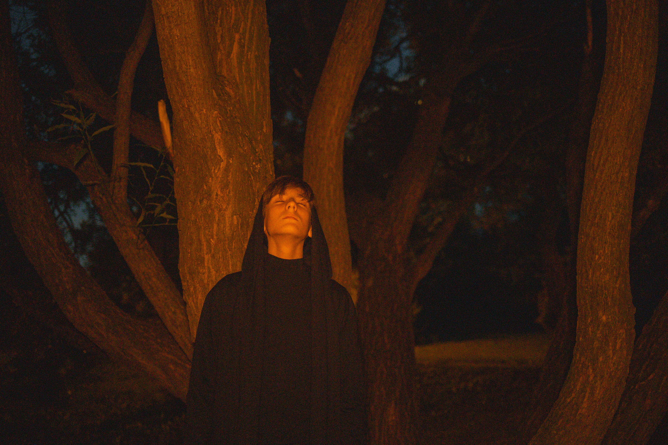 СКАЗОЧНЫЙ ЛЕС. Я фотограф из Москвы к Вашим услугам